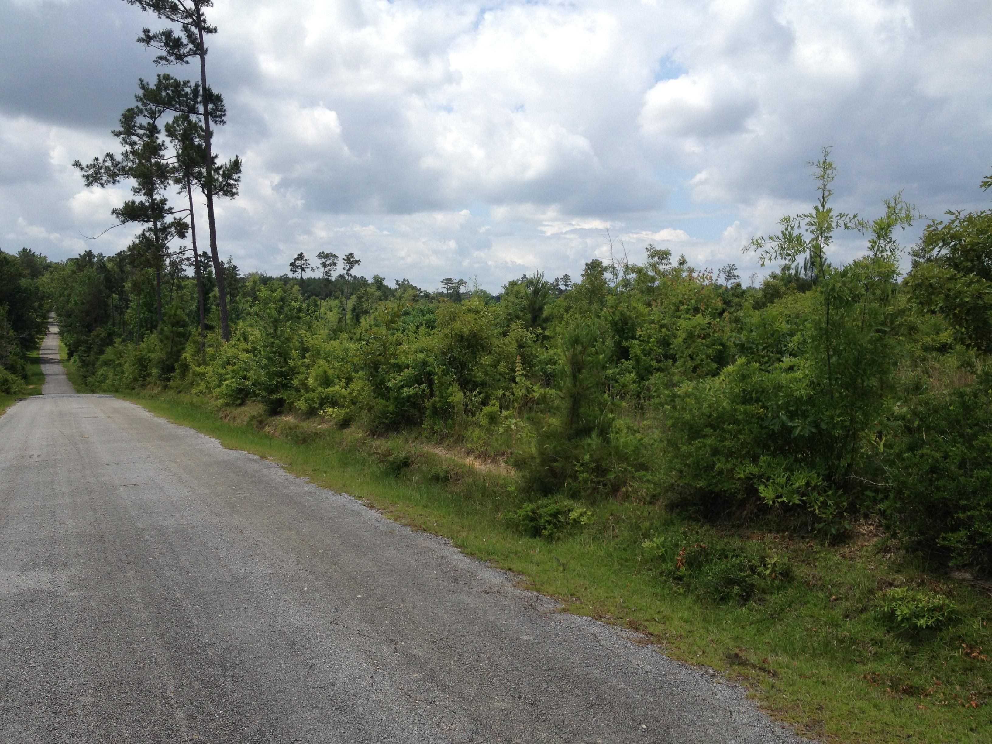 12 acres in Forrest County, Mississippi