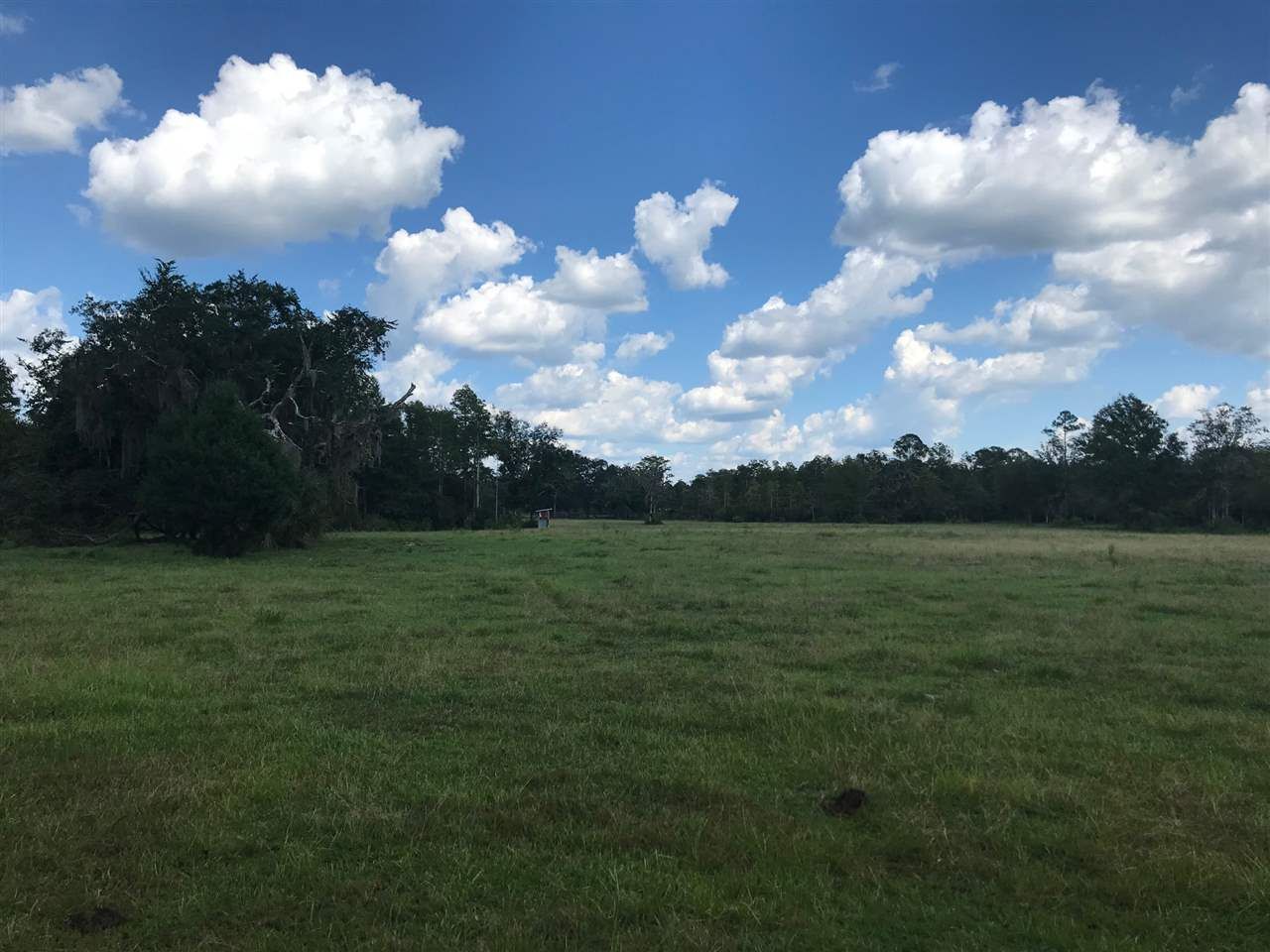 35 acres in Taylor County, Florida