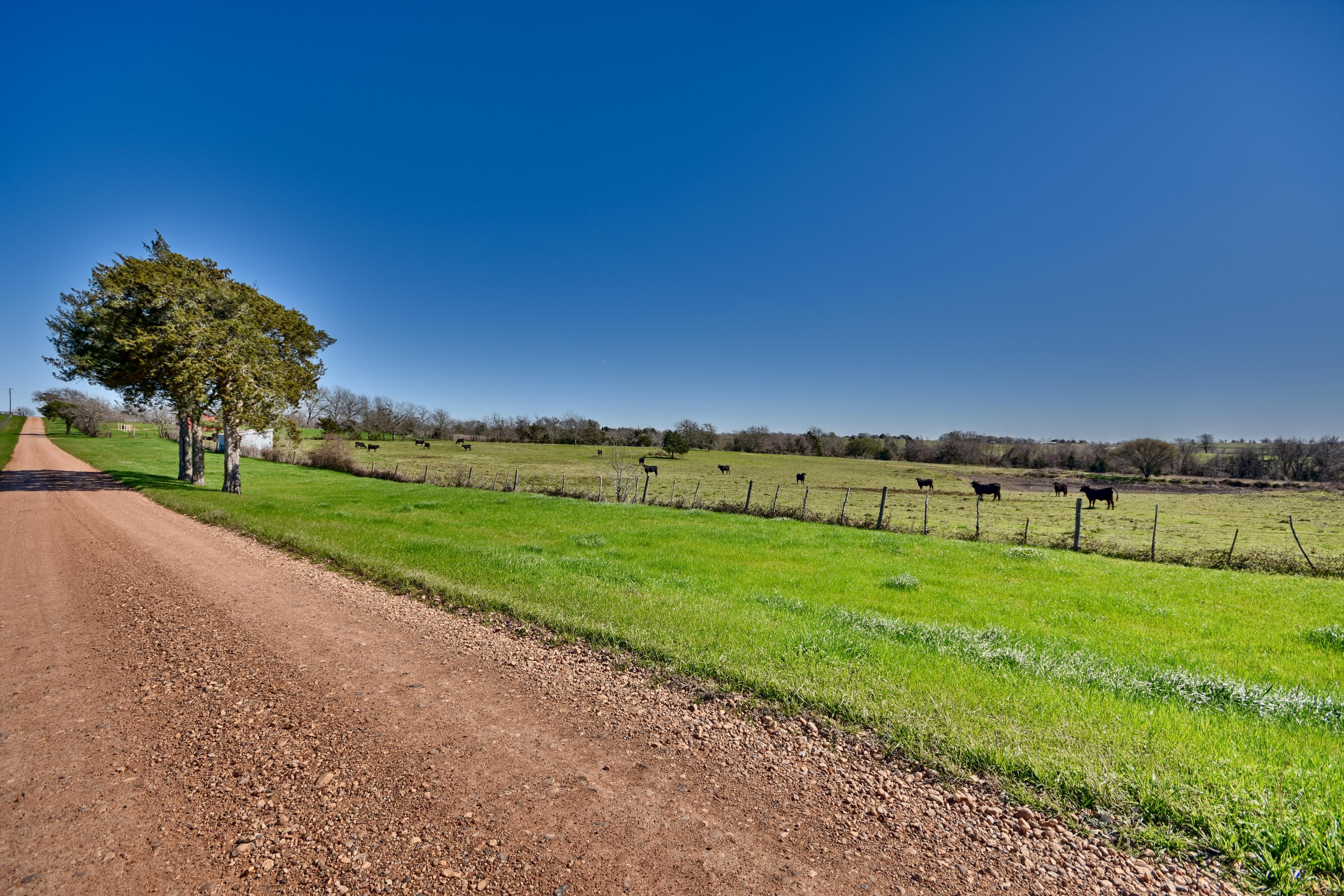19.78 acres in Austin County, Texas