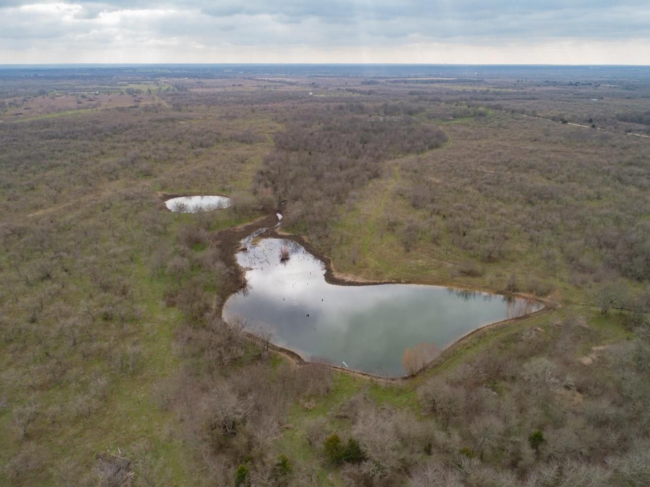 166 acres in Navarro County, Texas