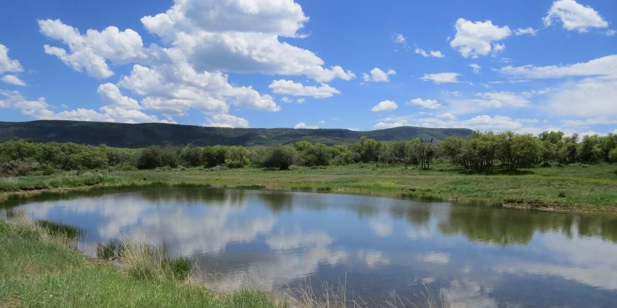 3,423 acres in Montrose County, Colorado