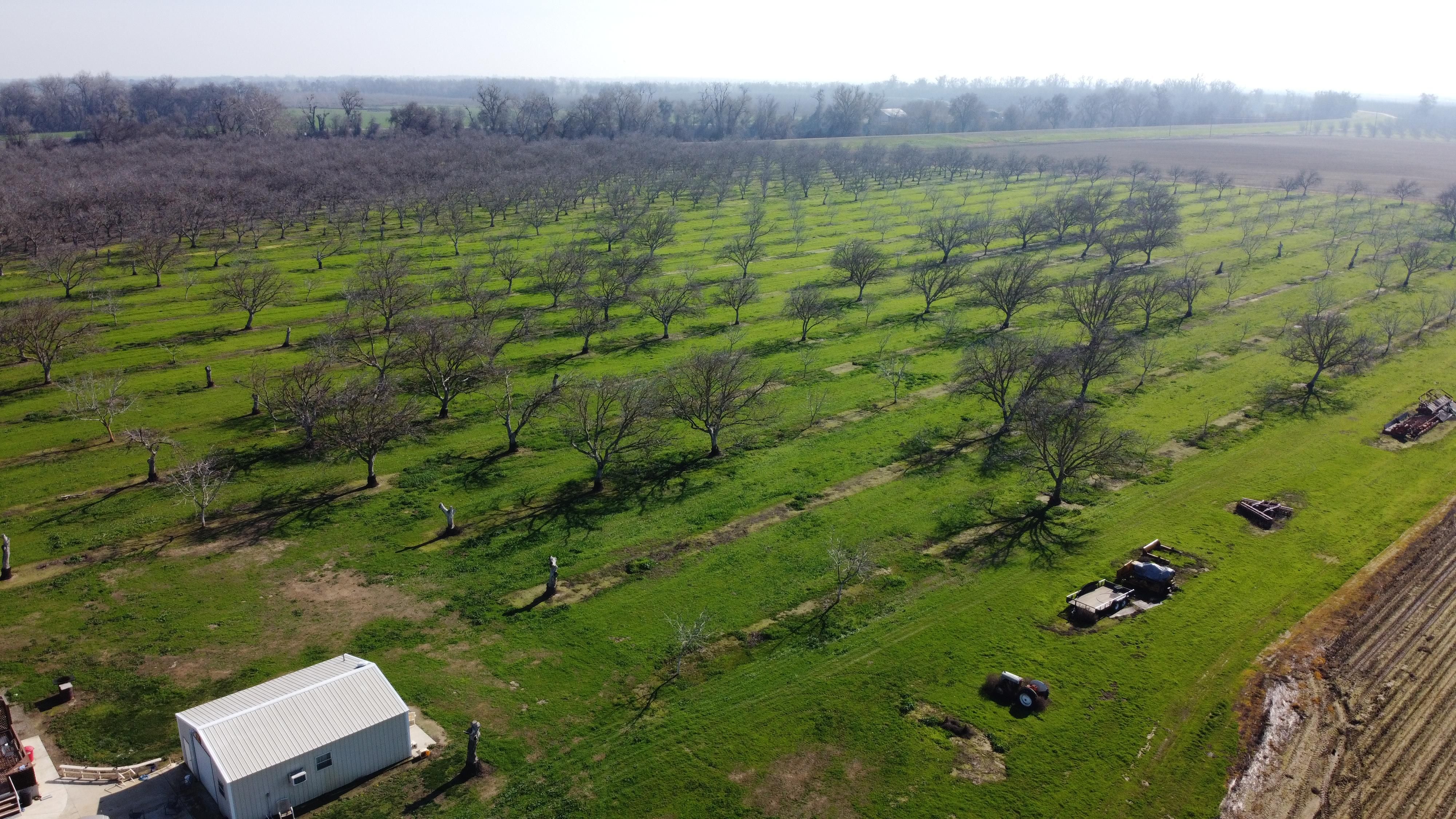 18.4 acres in Colusa County, California