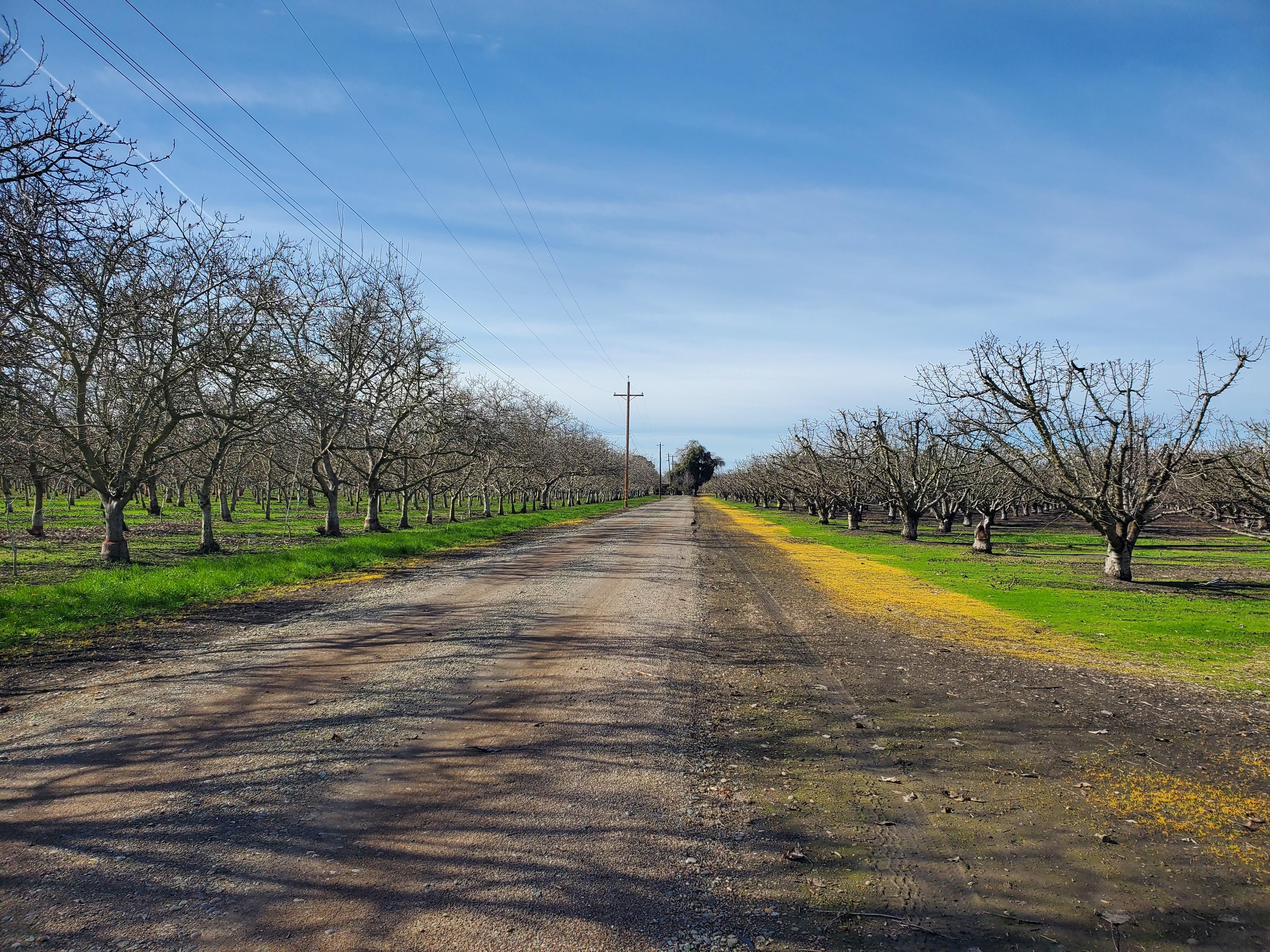 19.14 acres in San Joaquin County, California