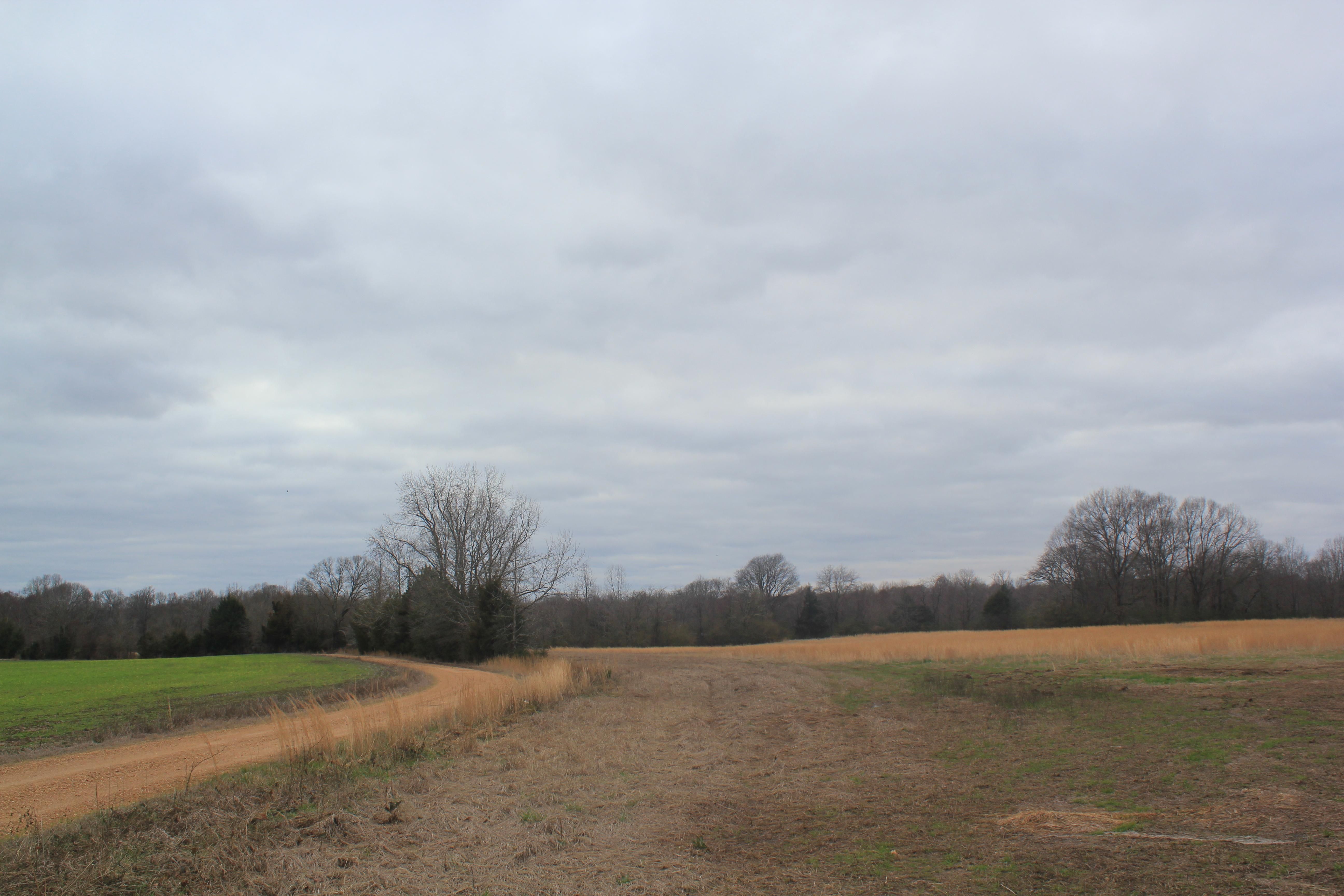 5.1 acres in Marshall County, Mississippi