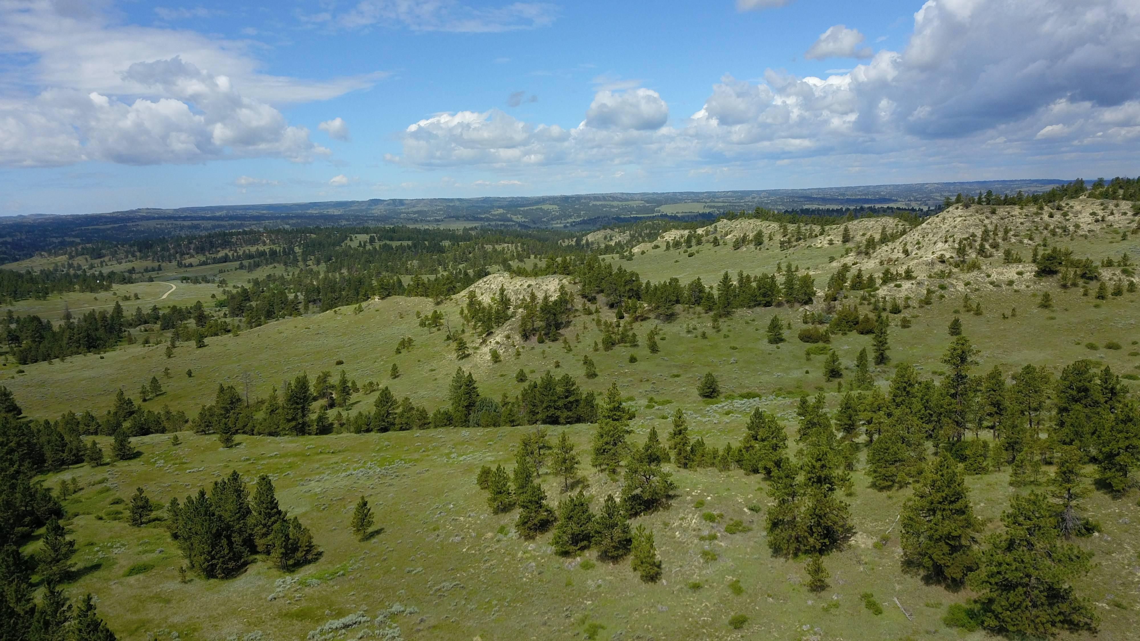 167.3 acres in Treasure County, Montana