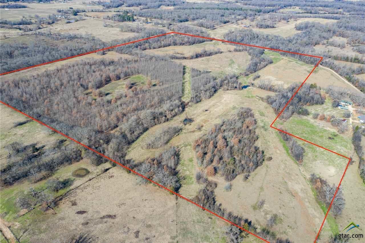 117.49 acres in Titus County, Texas