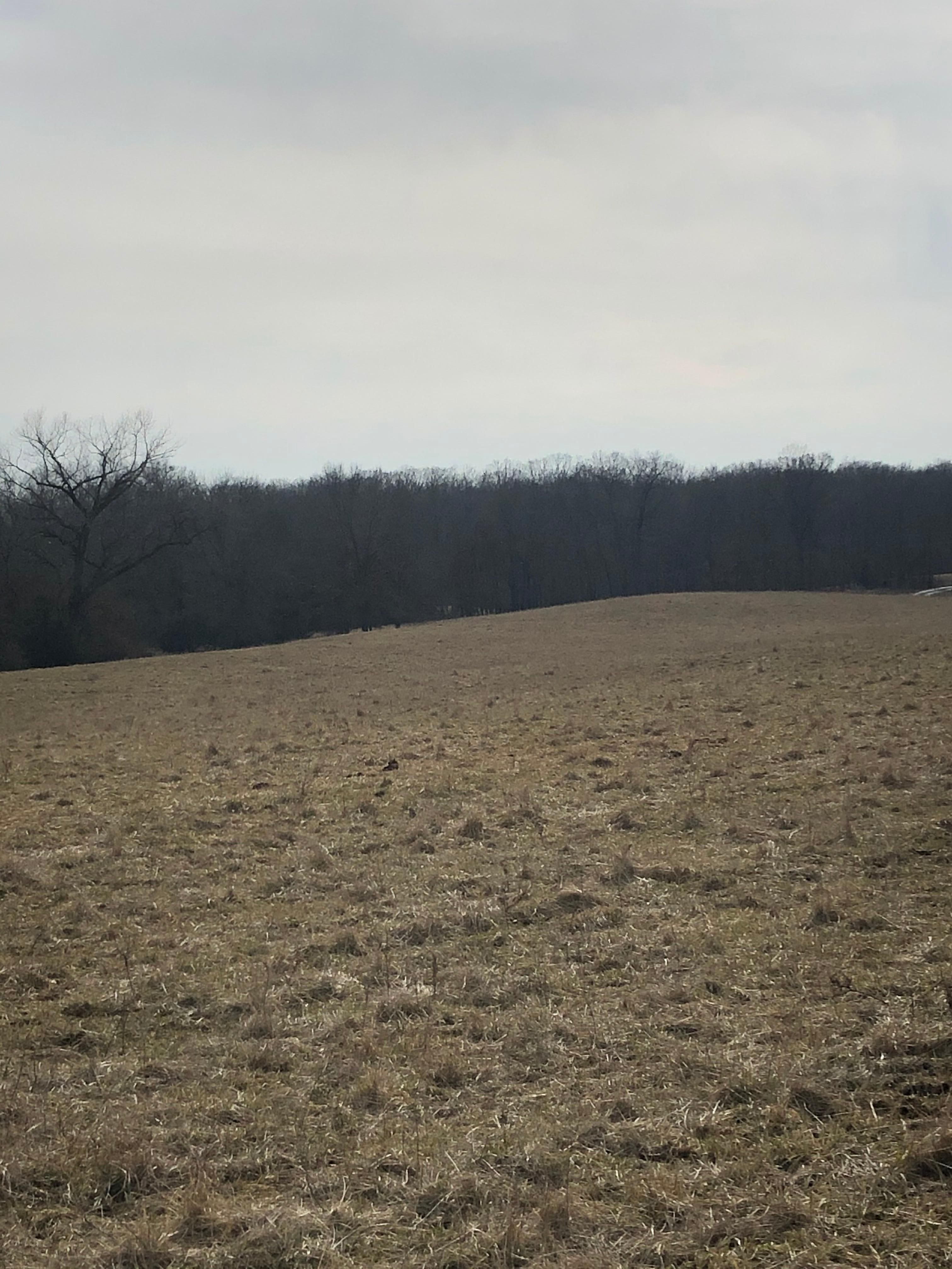 150 Acres: Visualize This Huge Land Area! - abwm4bq