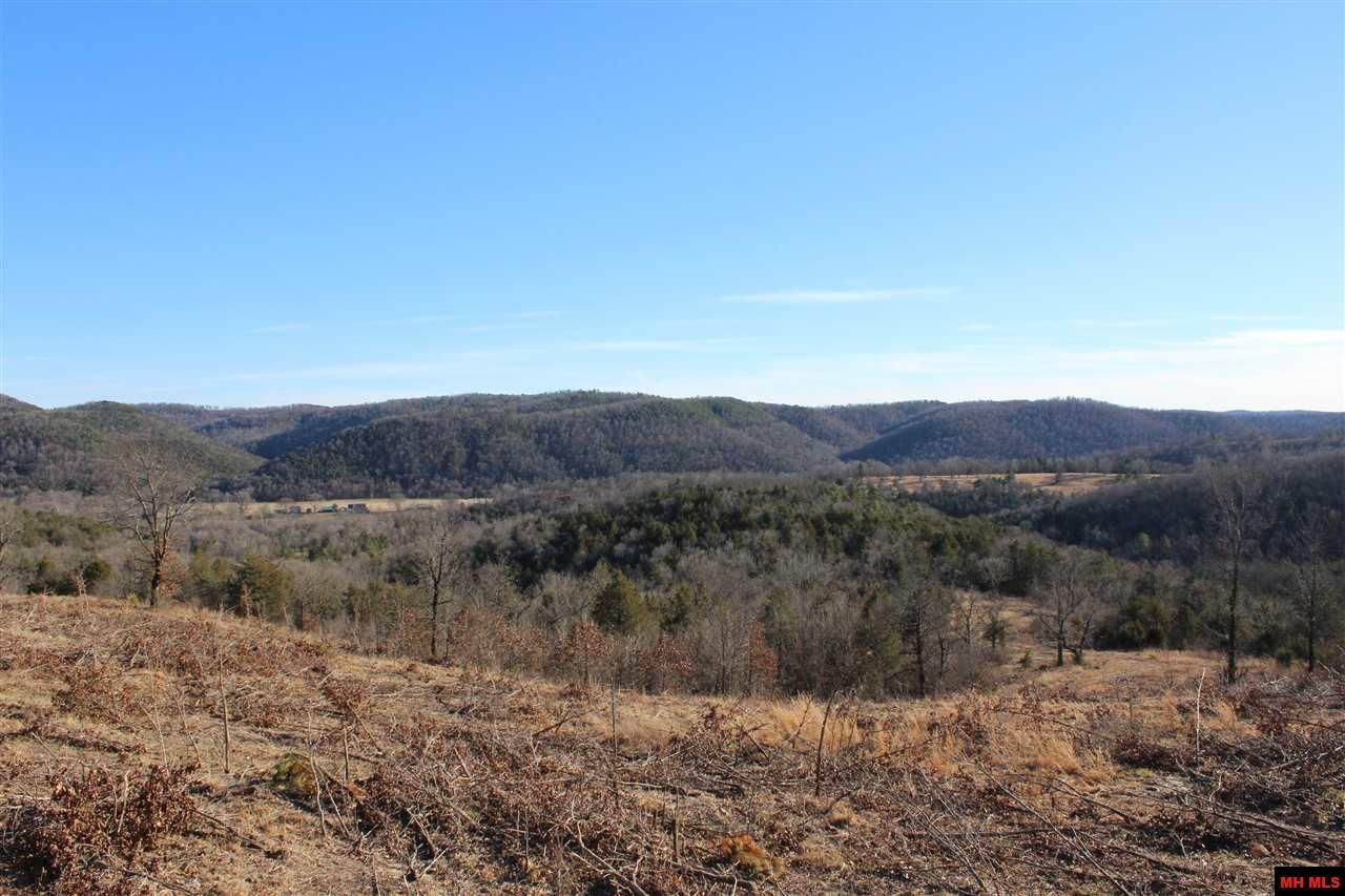 40 acres in Baxter County, Arkansas