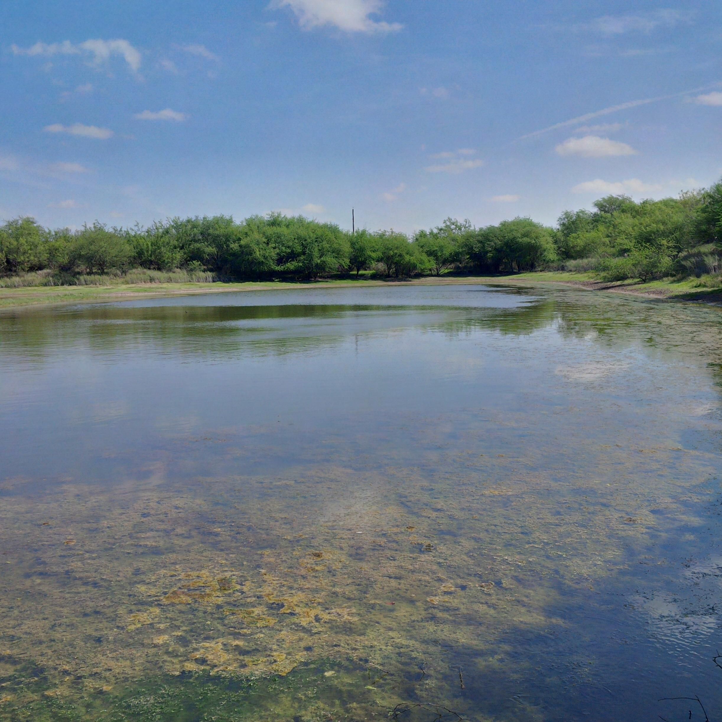 240 acres in b County, Texas