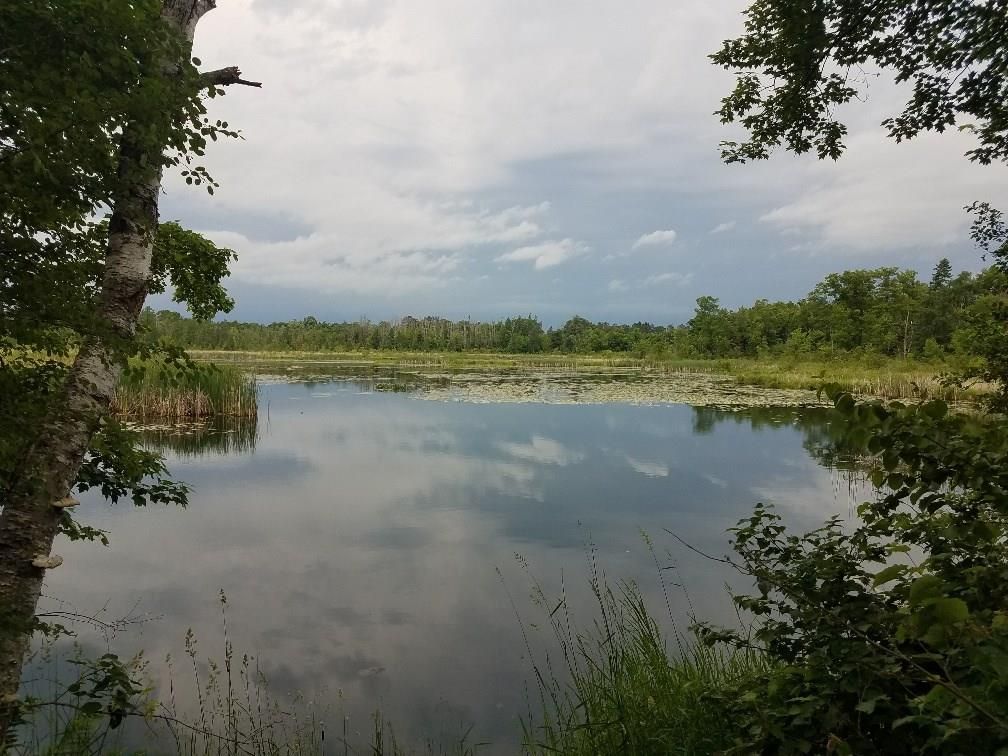 13.2 acres in Washburn County, Wisconsin