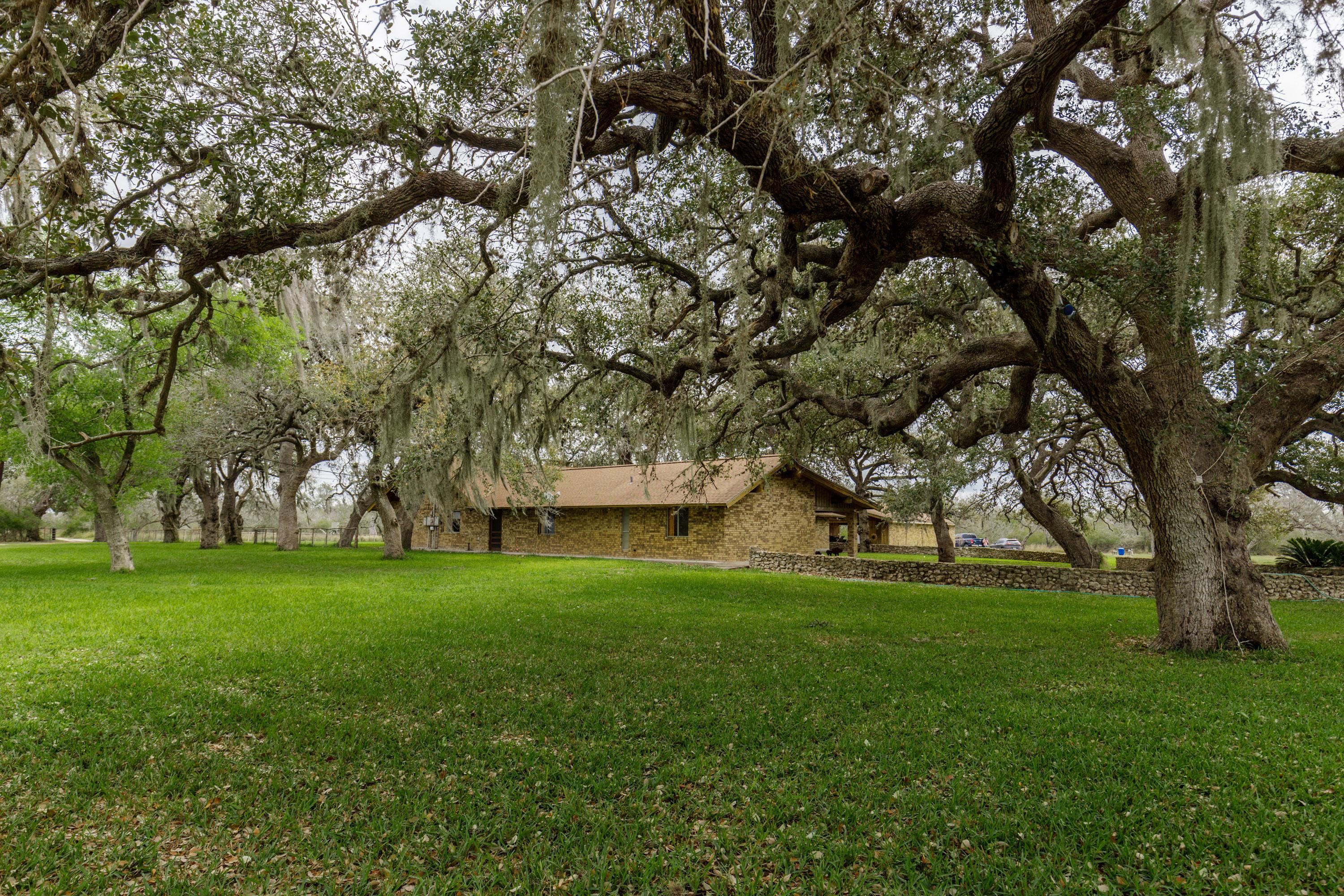 77 acres in Live Oak County, Texas