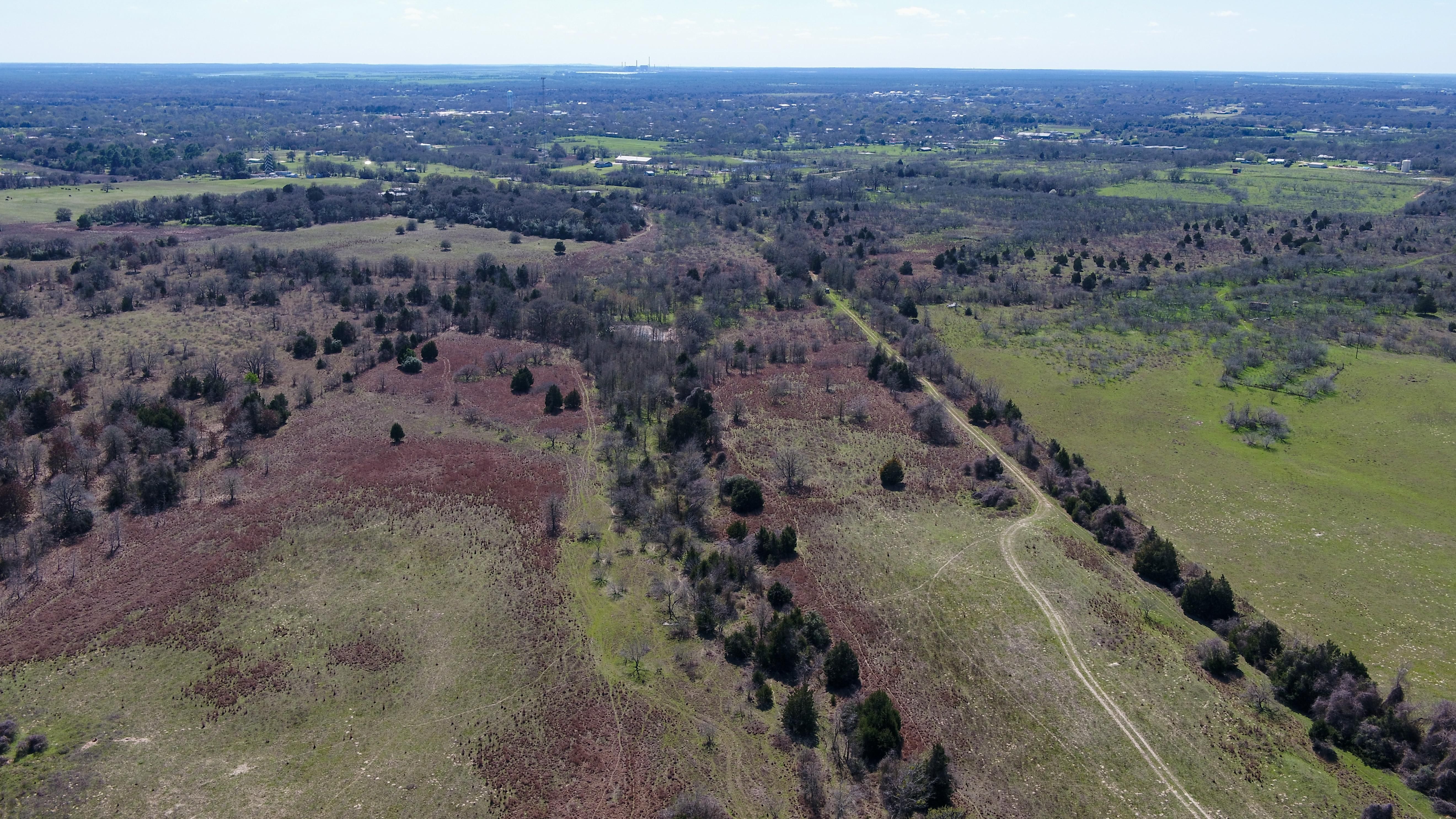 169.17 acres in Milam County, Texas