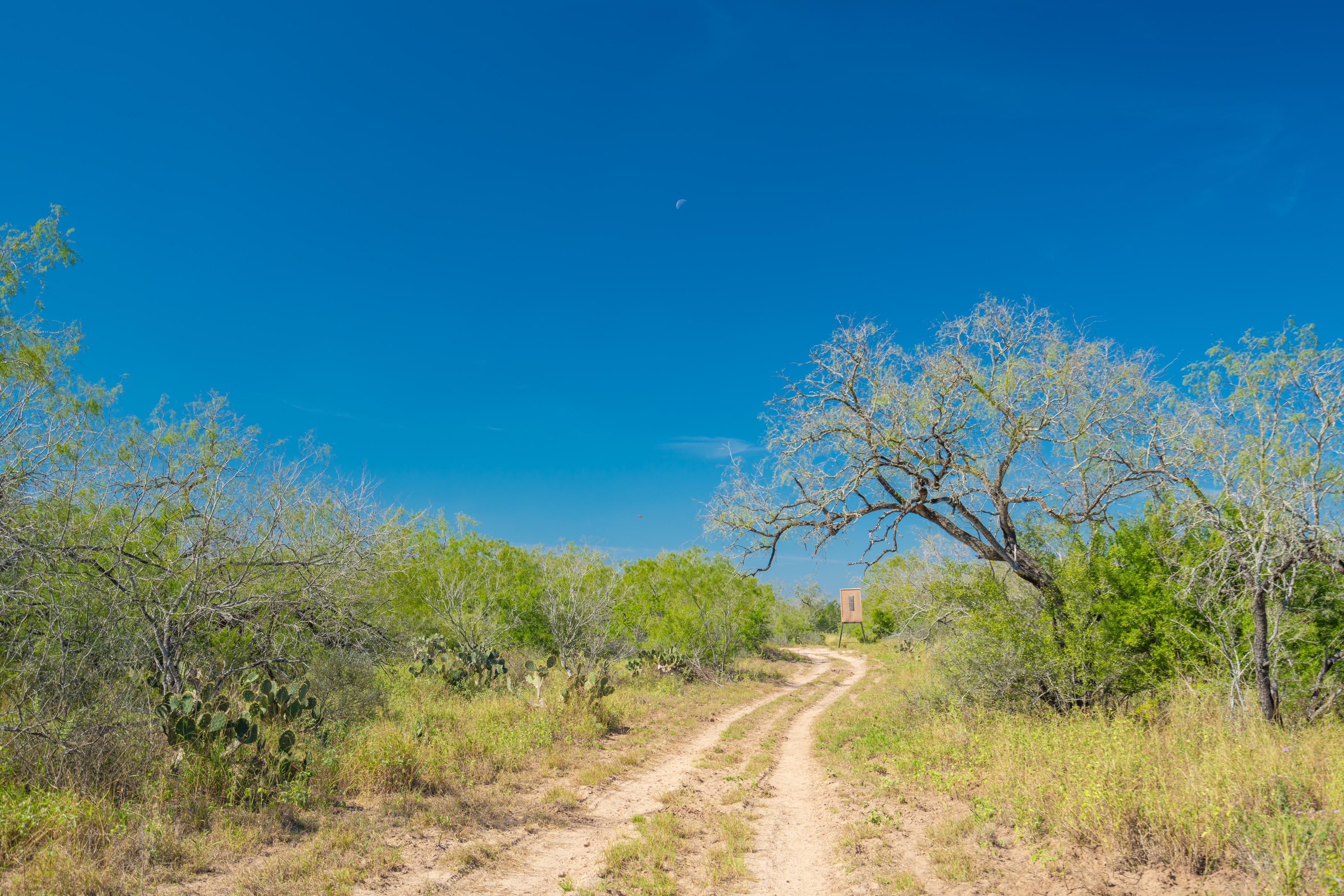 968.00 acres in Kenedy County, Texas