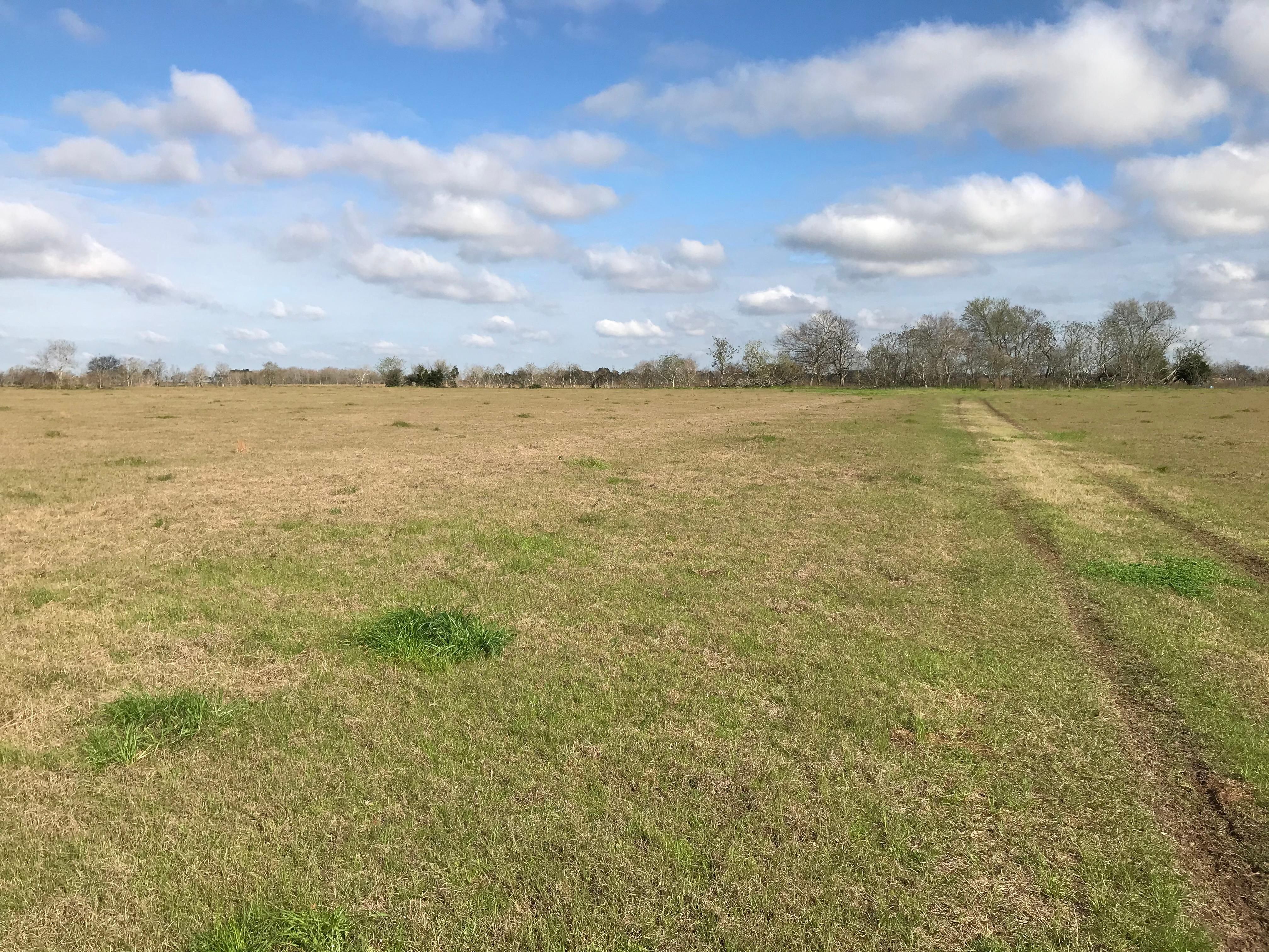72.54 acres in Waller County, Texas