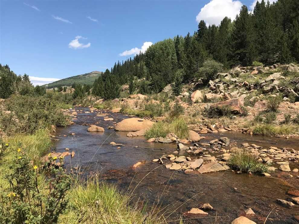 55 acres in Teller County, Colorado