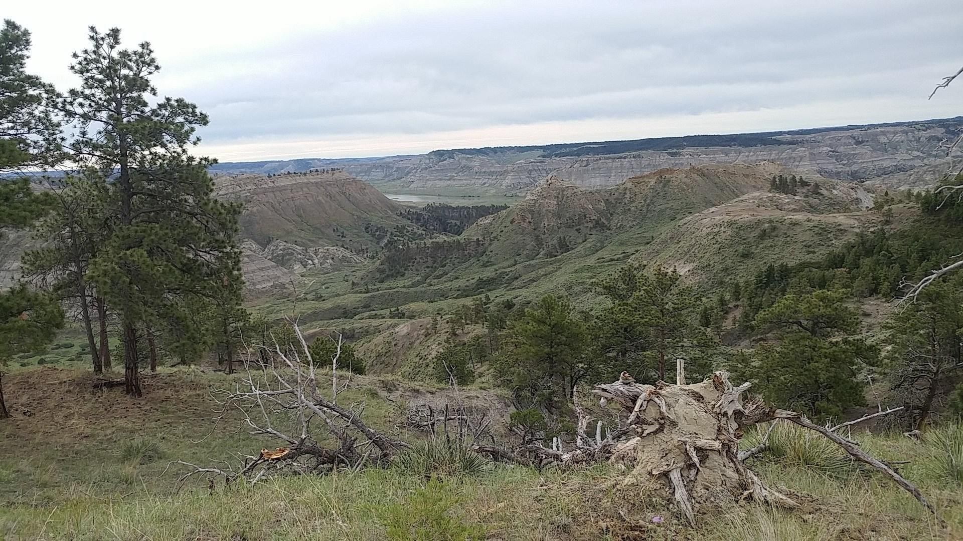 23,805 acres in Phillips County, Montana