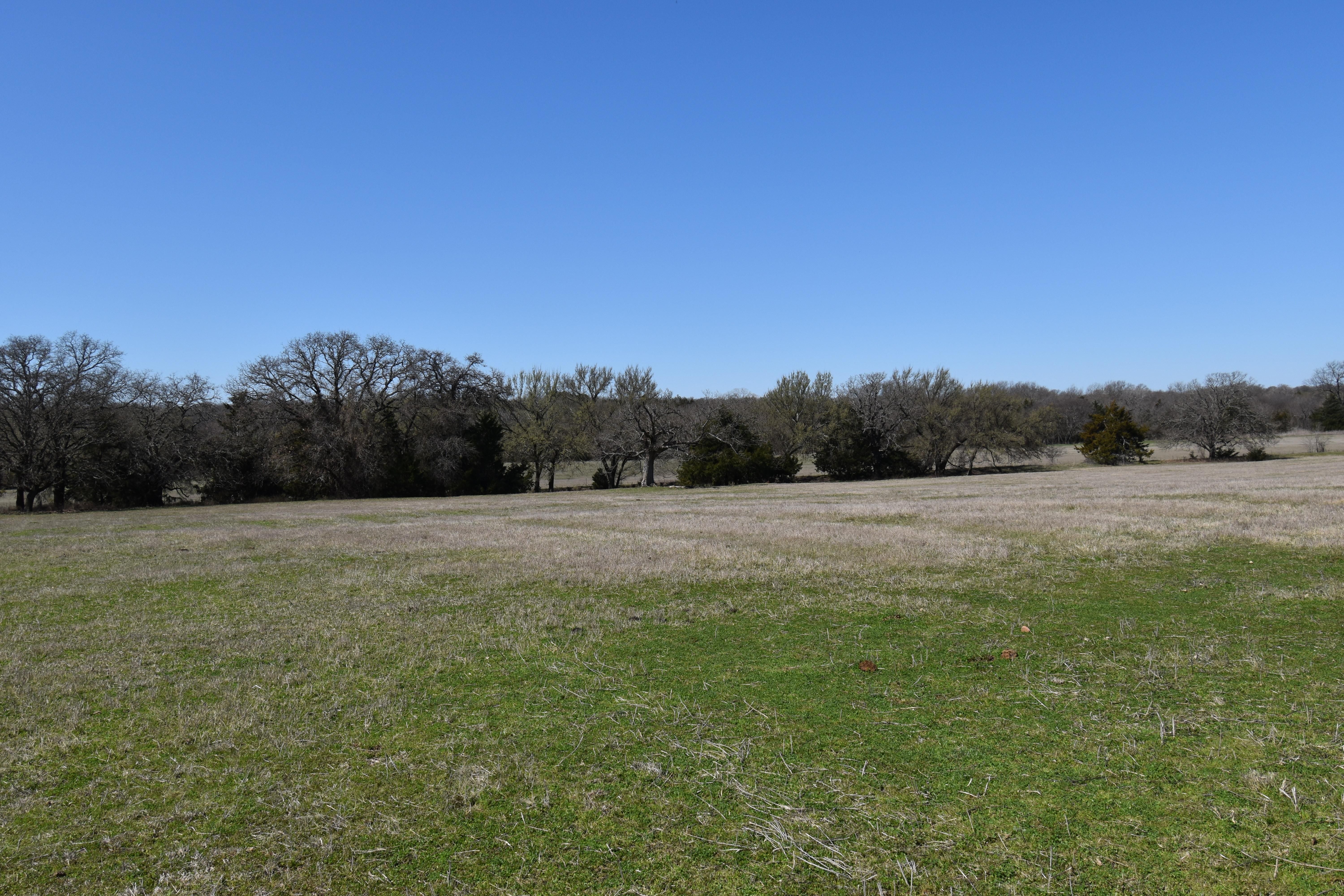 60 acres in Montague County, Texas