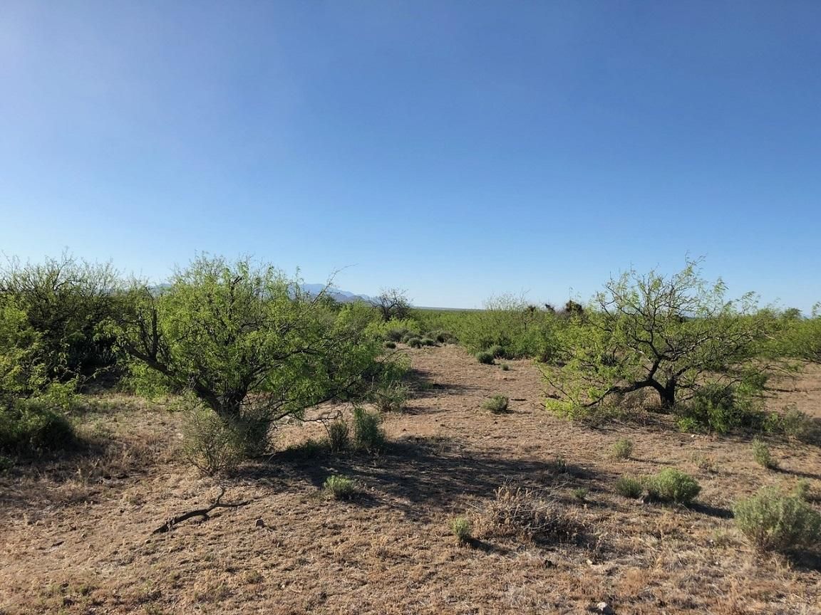 19.55 acres in Cochise County, Arizona