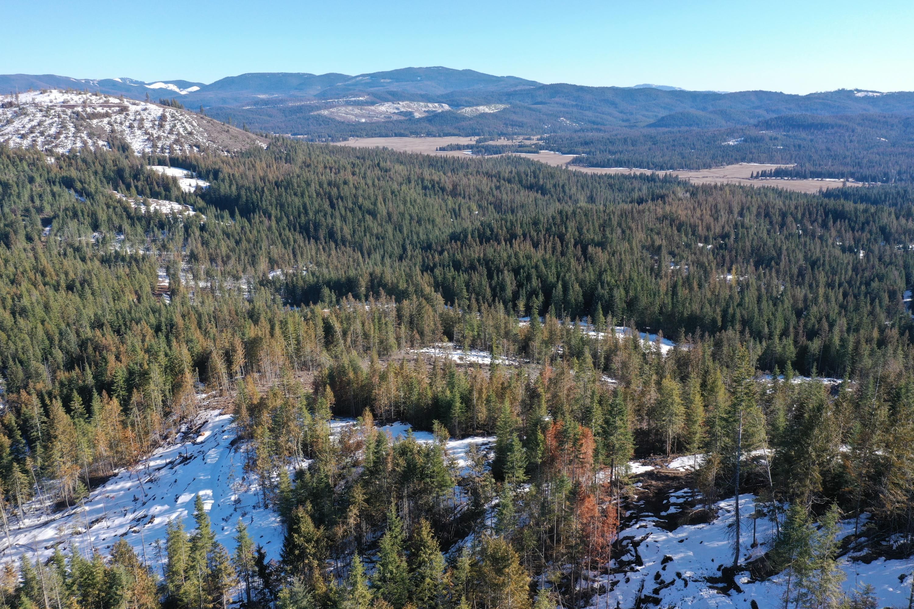 10 acres in Benewah County, Idaho