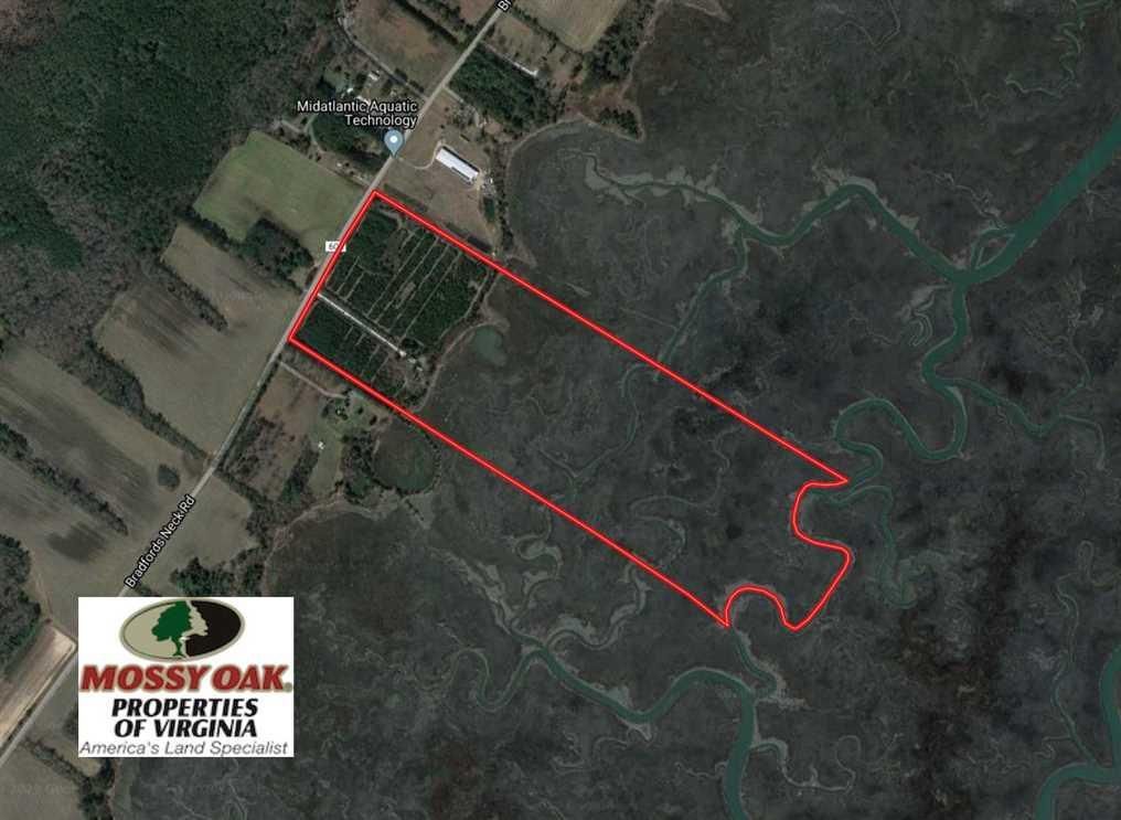 69 acres in County, Virginia