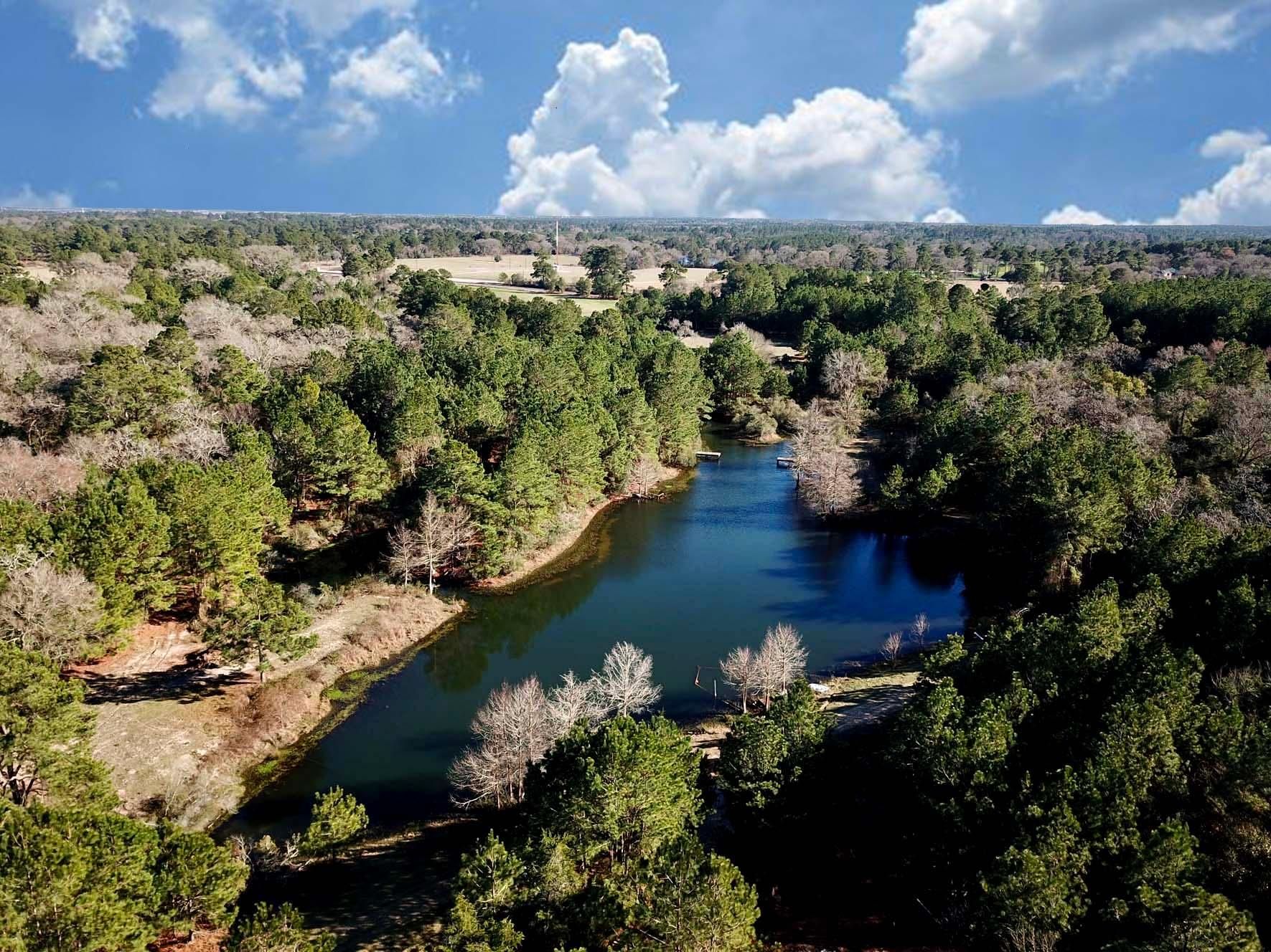 145 acres in Grimes County, Texas