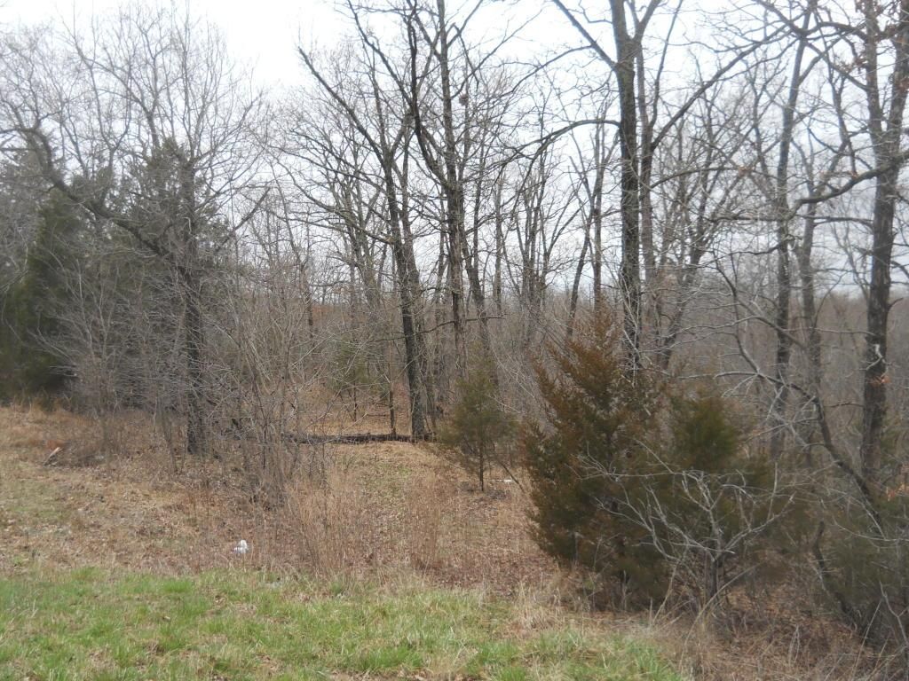 20 acres in Saint Clair County, Missouri