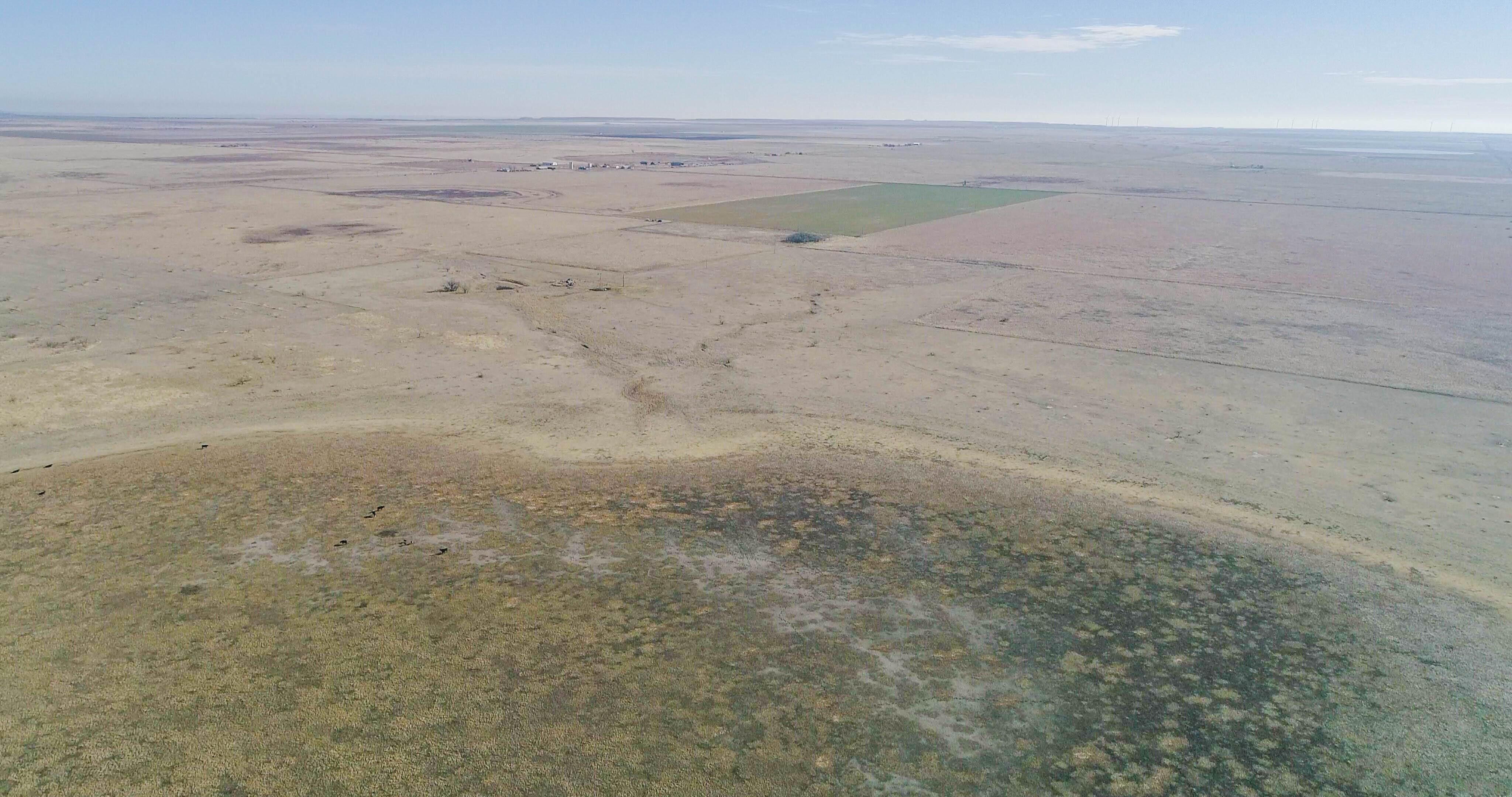 160 acres in Floyd County, Texas