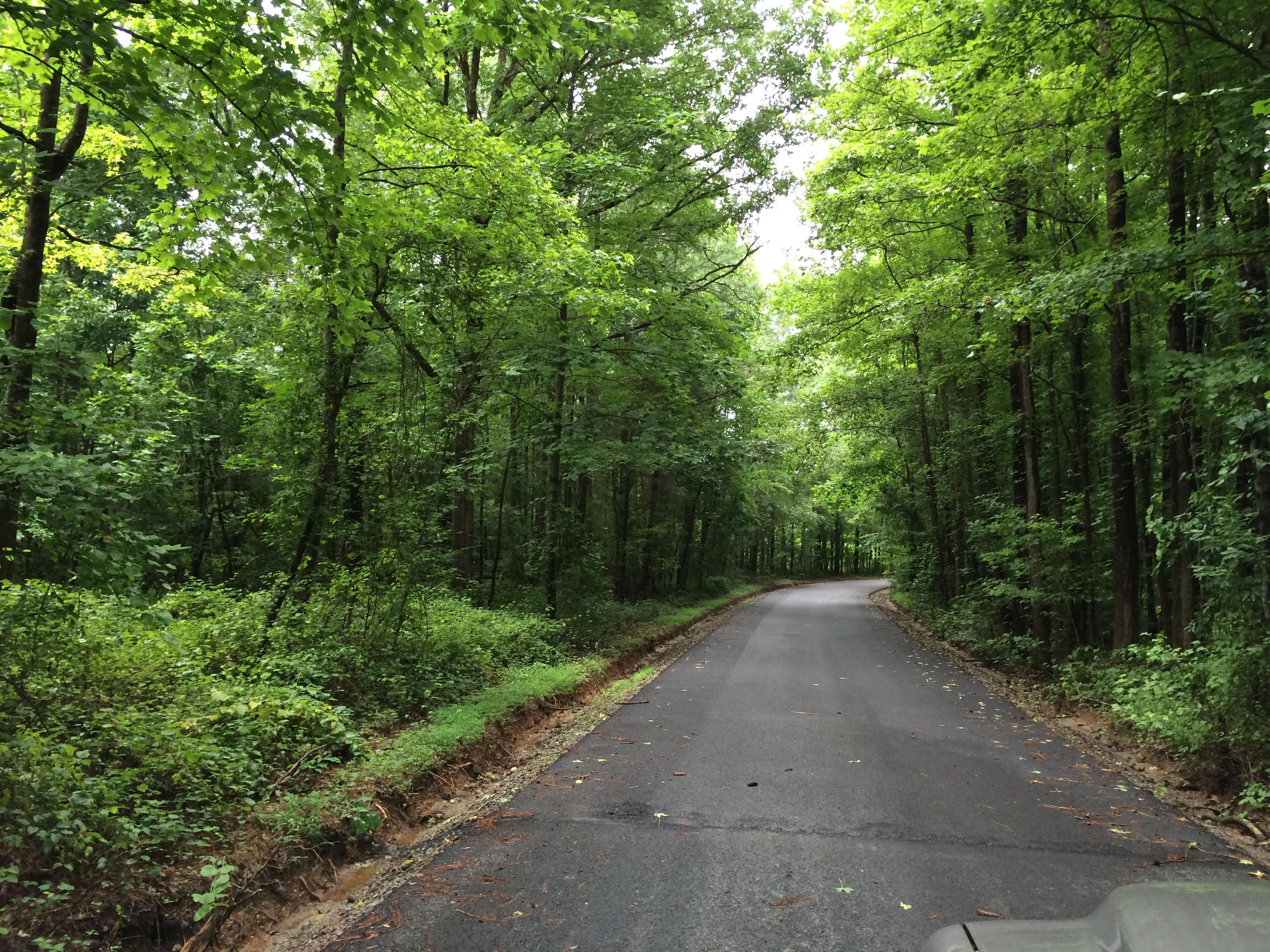 31.73 acres in Paulding County,