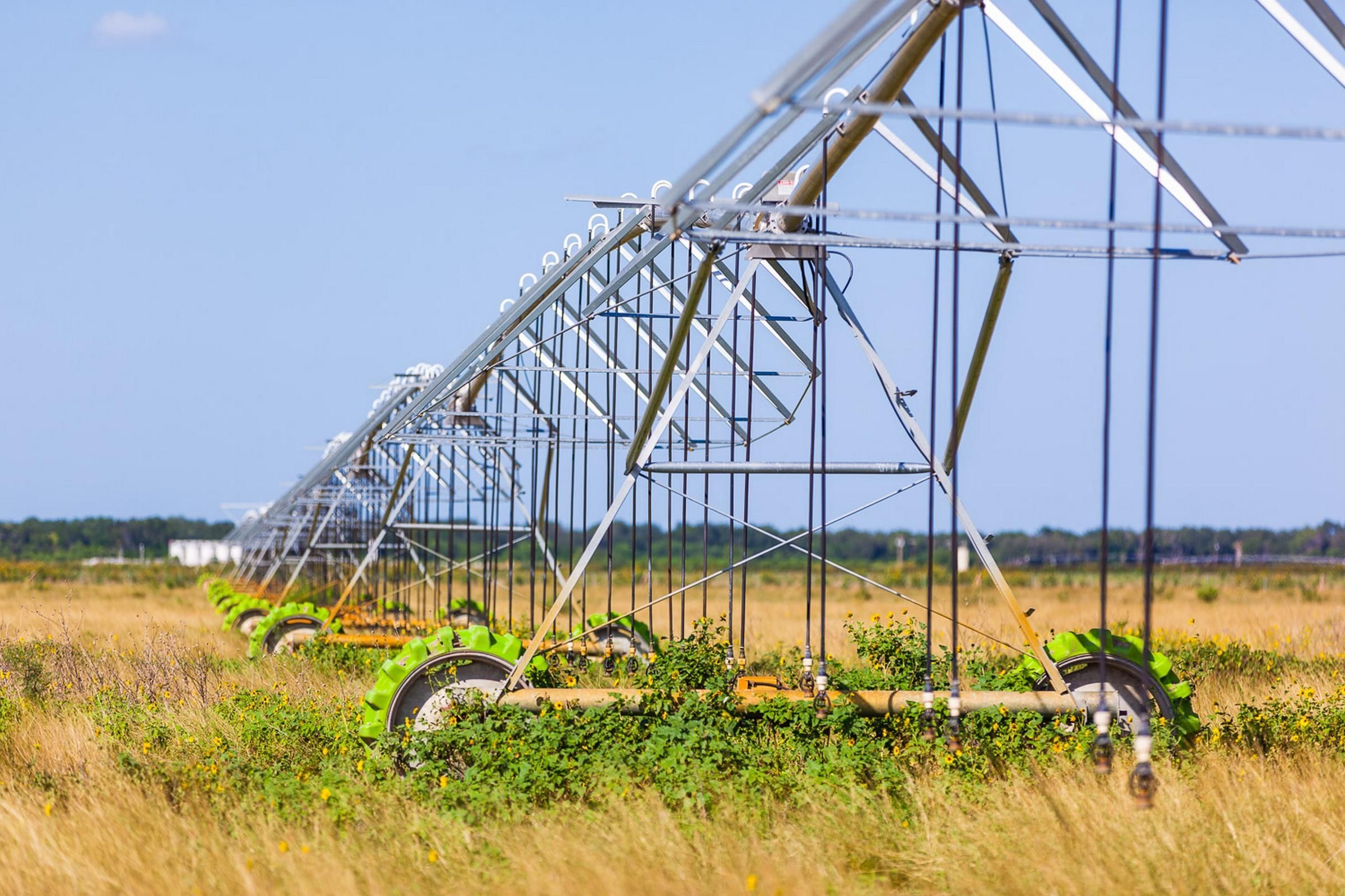 1,247 acres in Dimmit County, Texas