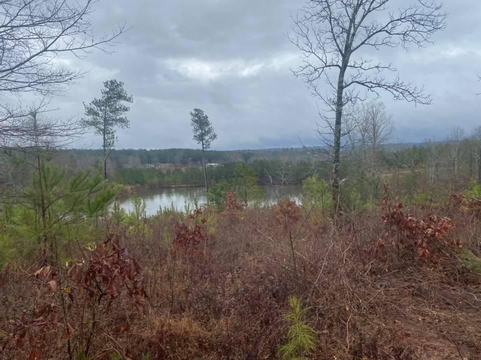 10 acres in Chilton County, Alabama