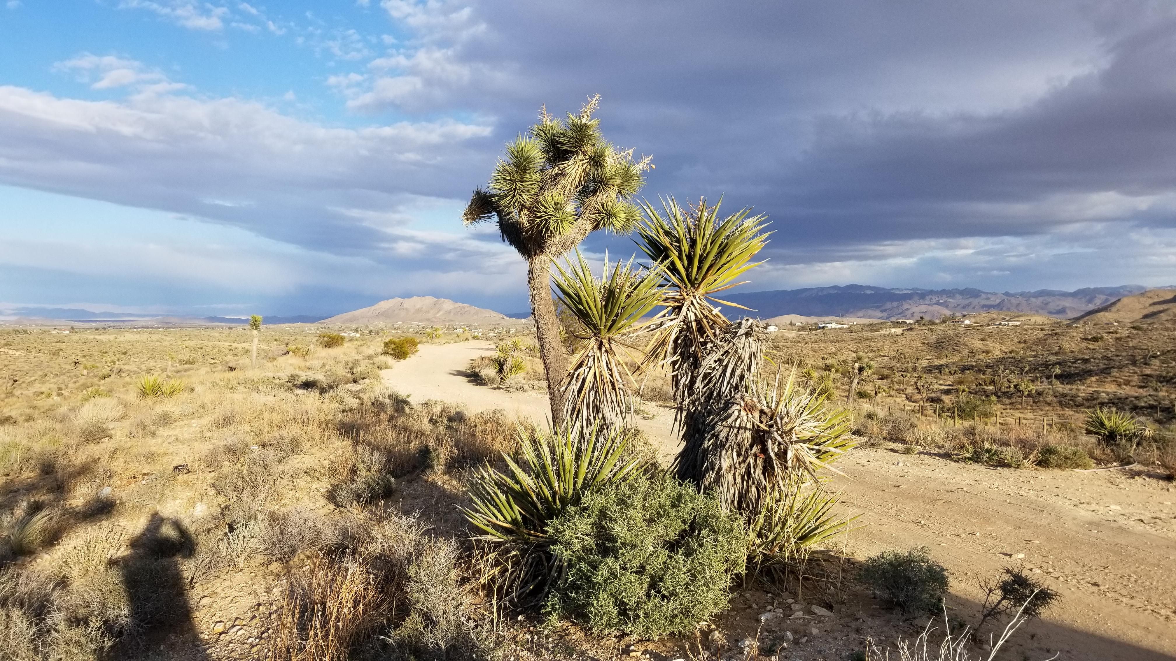 2.5 acres in San Bernardino County, California