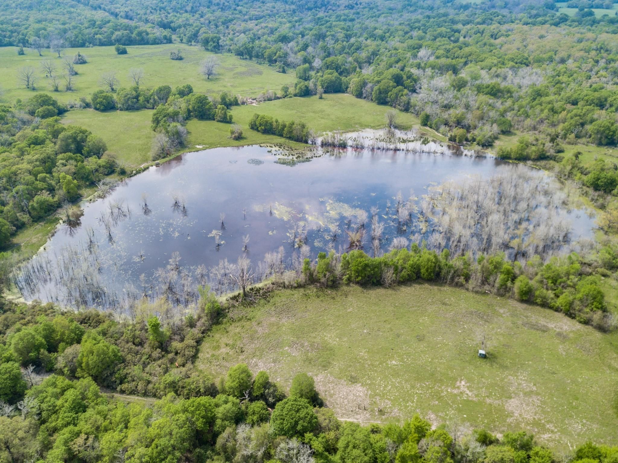 556 acres in Limestone County, Texas