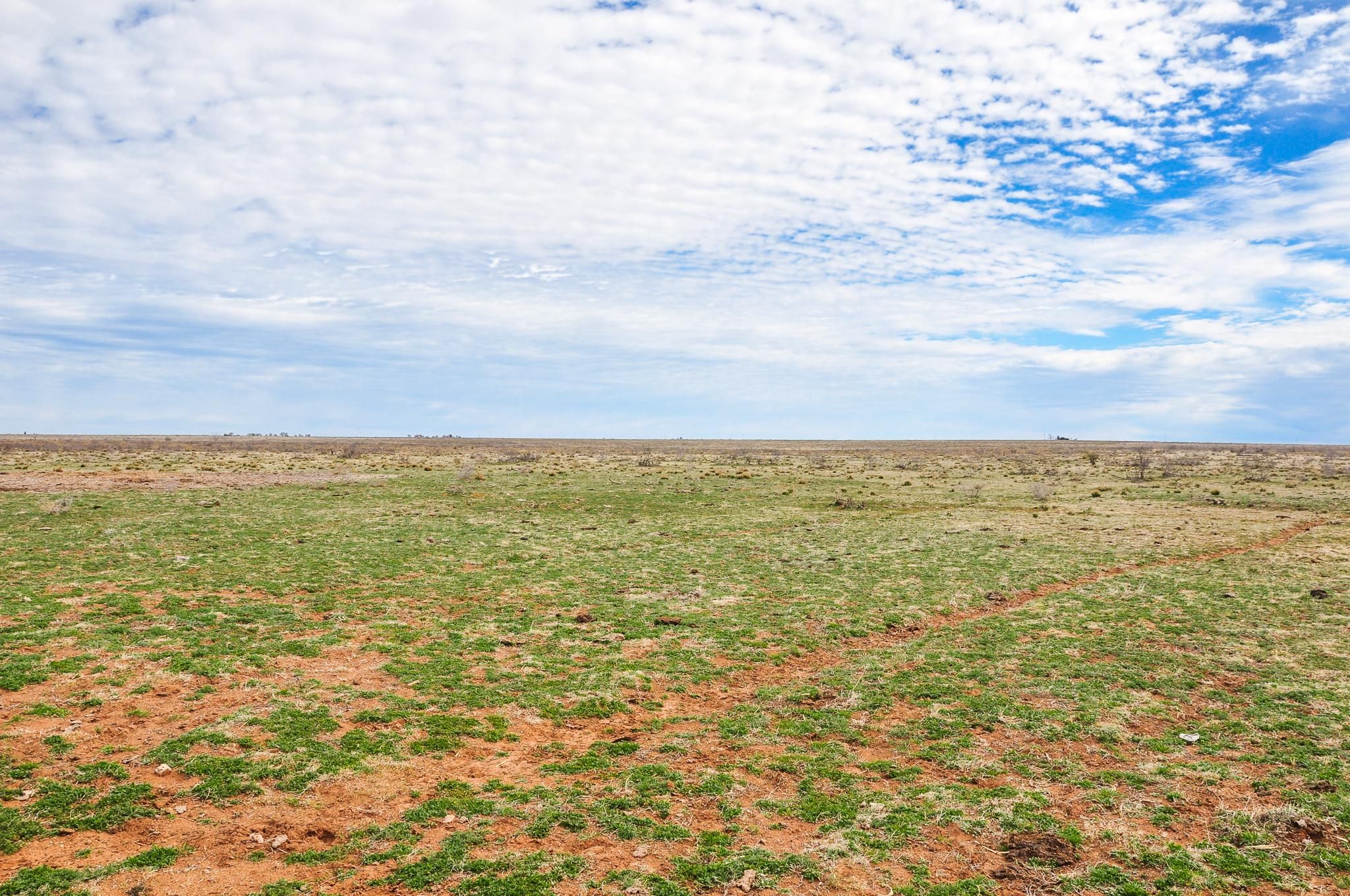 2,929.78 acres in Bailey County, Texas