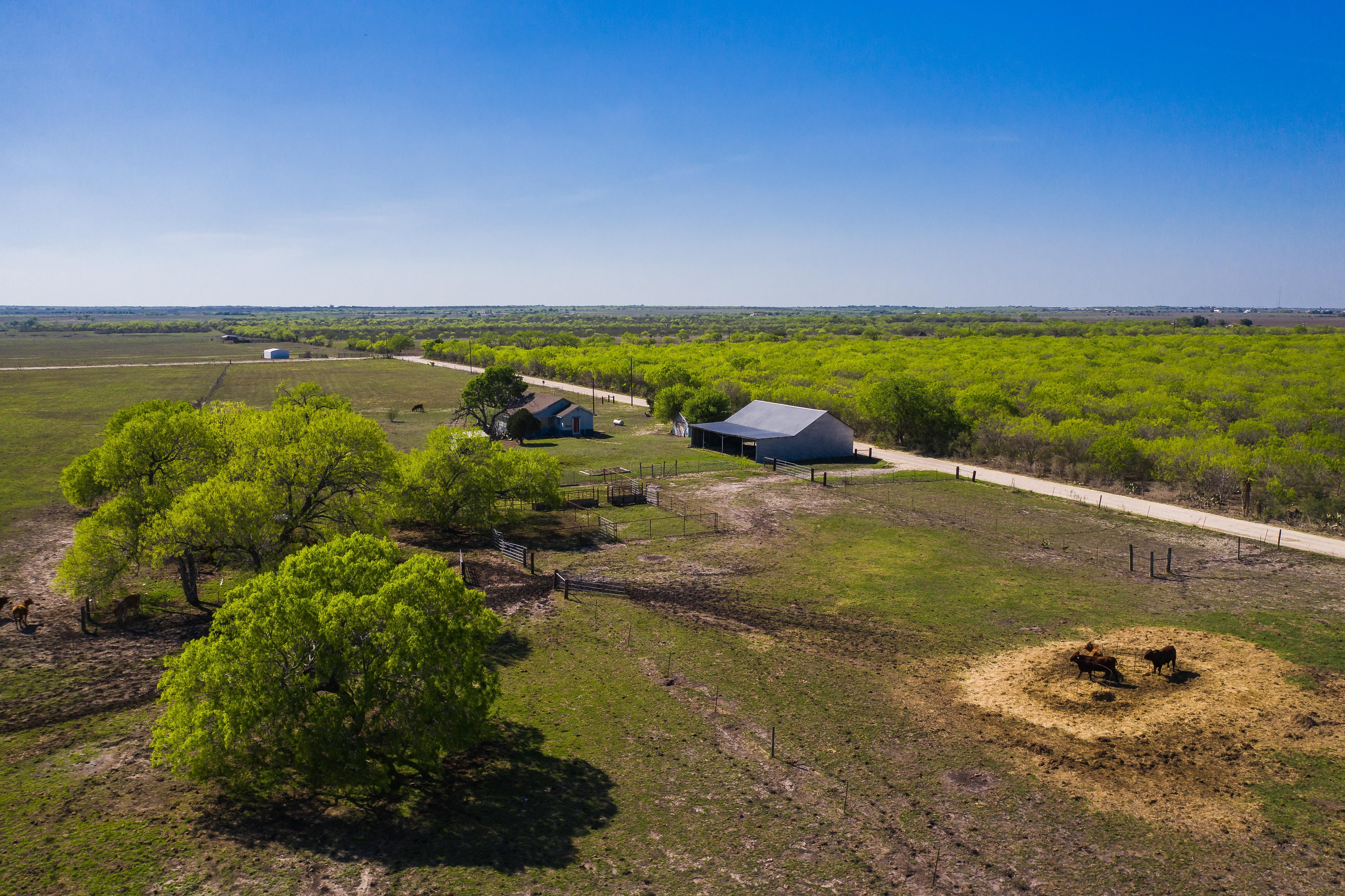 200 acres in Live Oak County, Texas