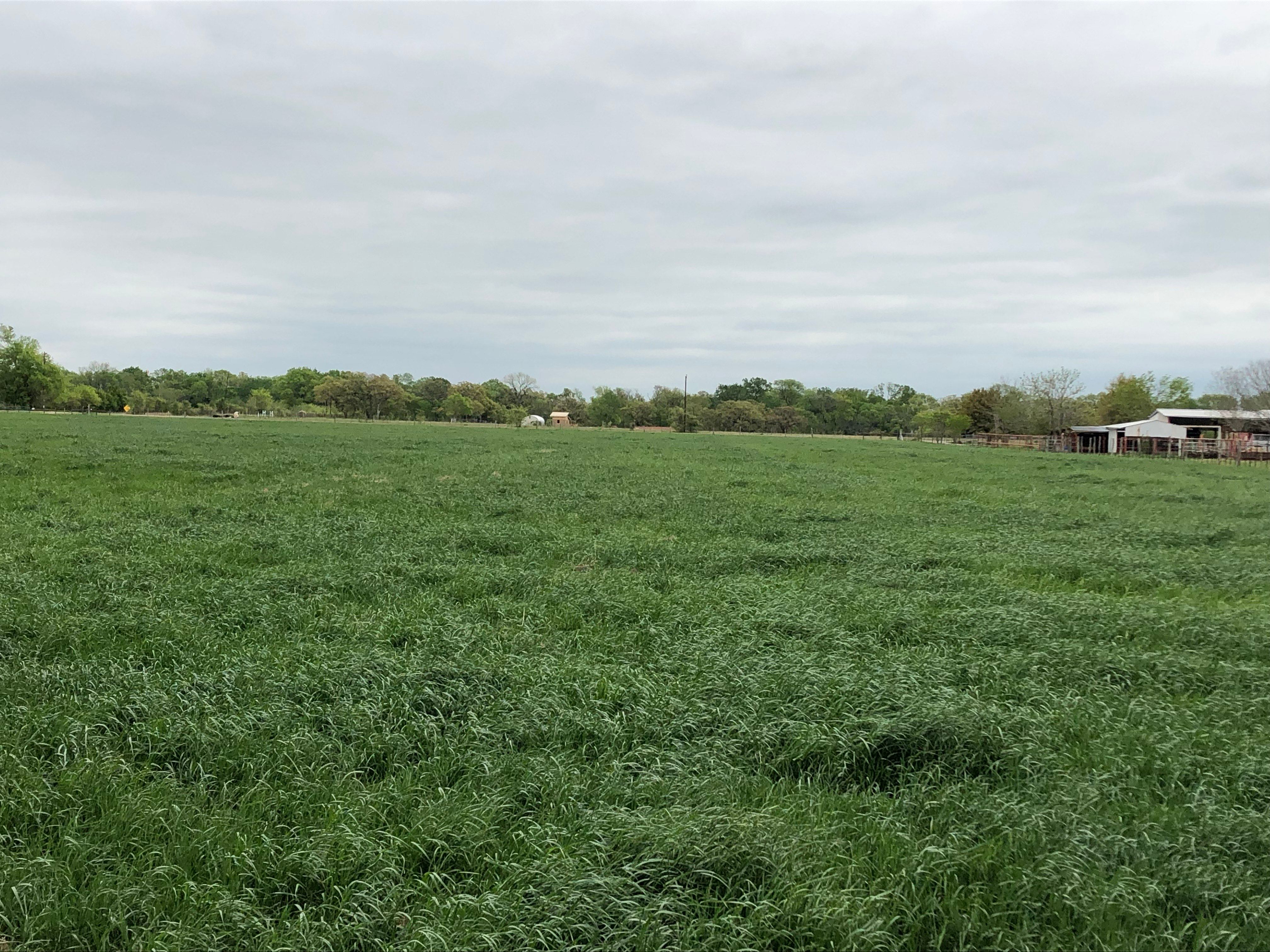 20 acres in Falls County, Texas