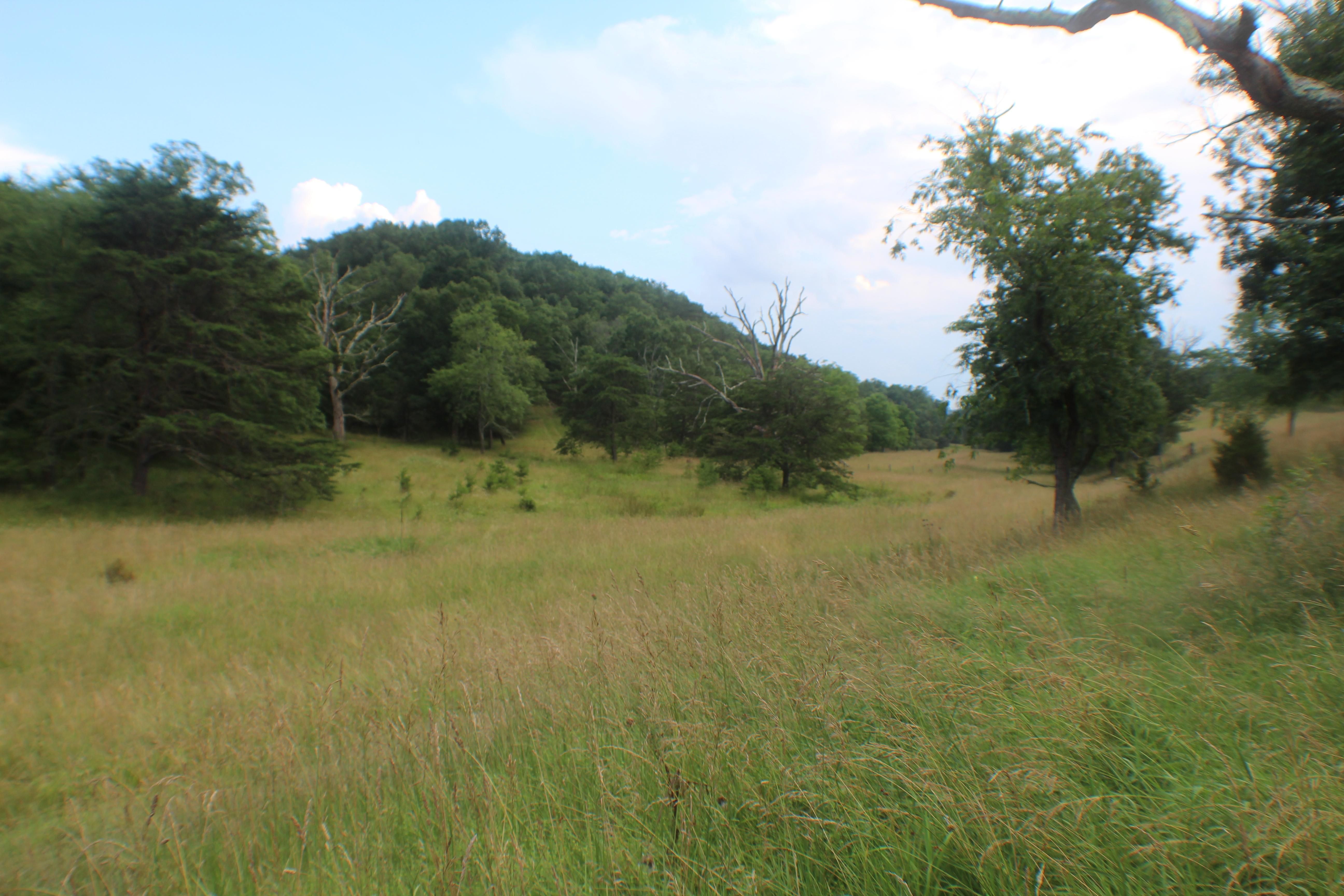 191.5 acres in Grant County, West Virginia