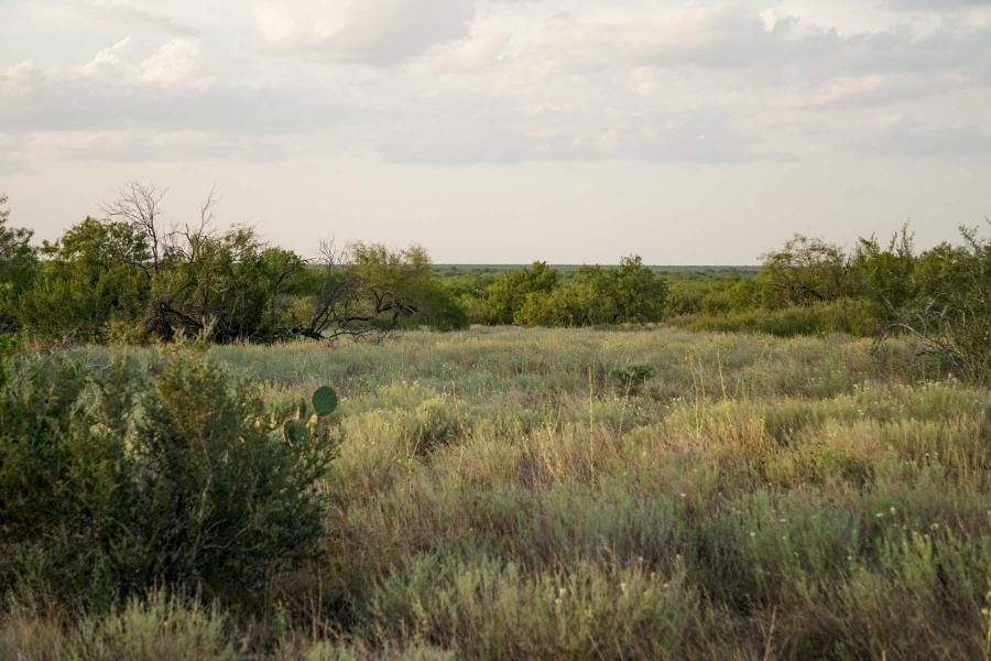 815.00 acres in Zapata County, Texas