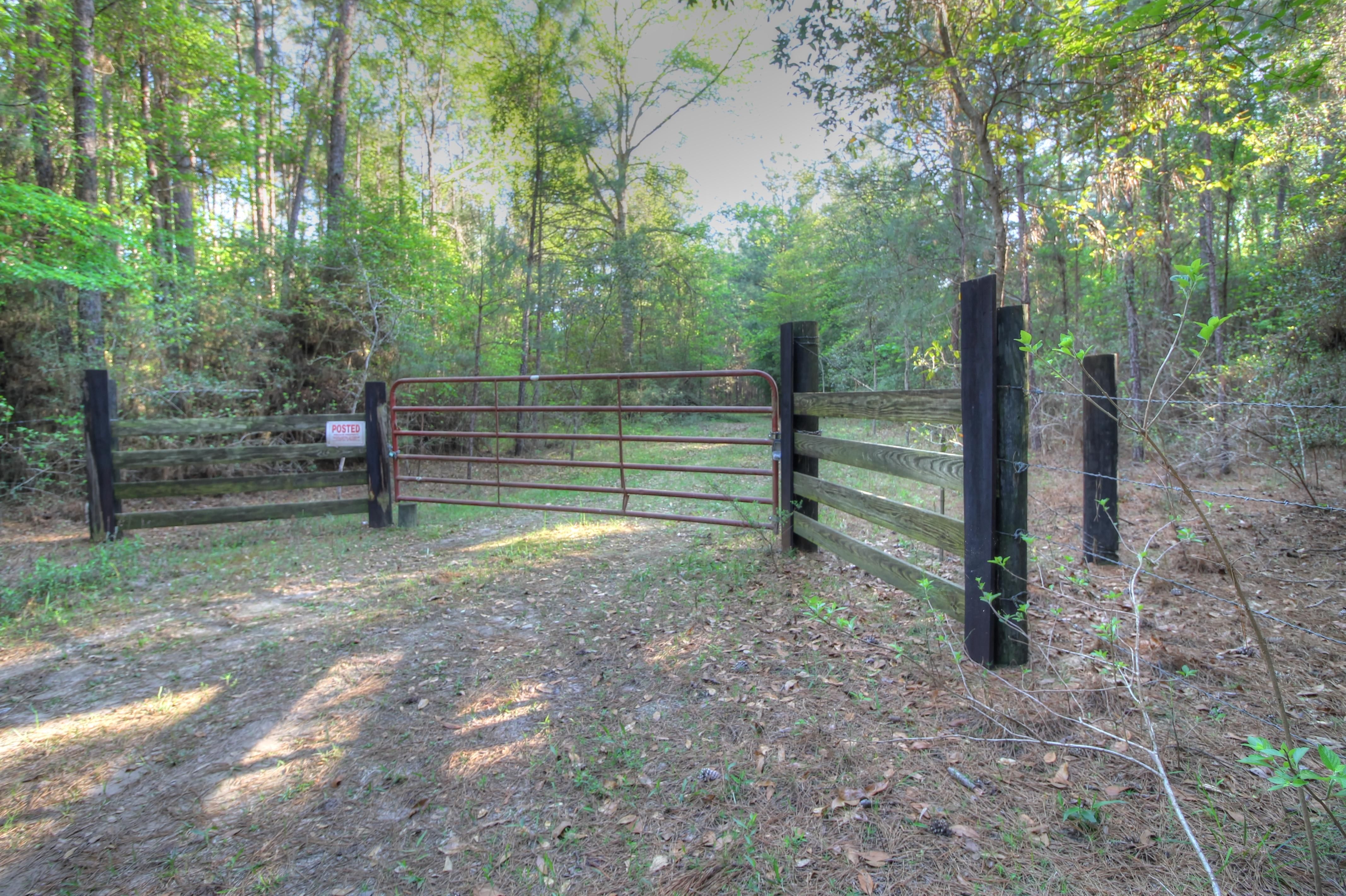 49.25 acres in Angelina County, Texas