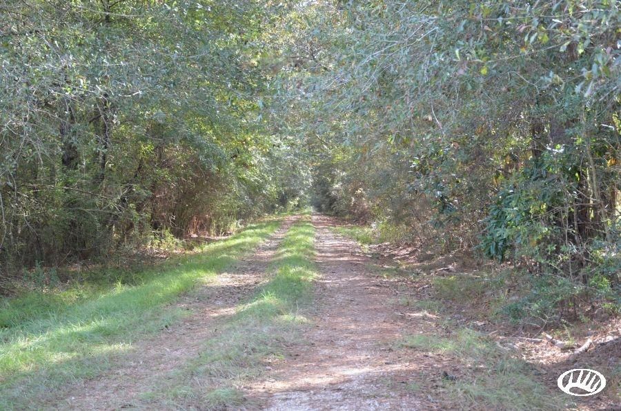 265 acres in Saint Tammany Parish, Louisiana