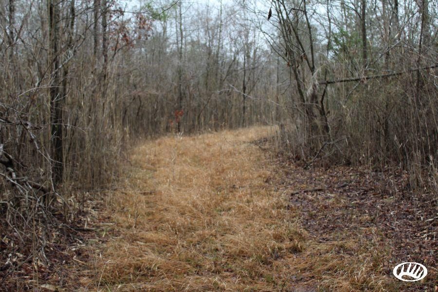 65 acres in Pitt County, North Carolina