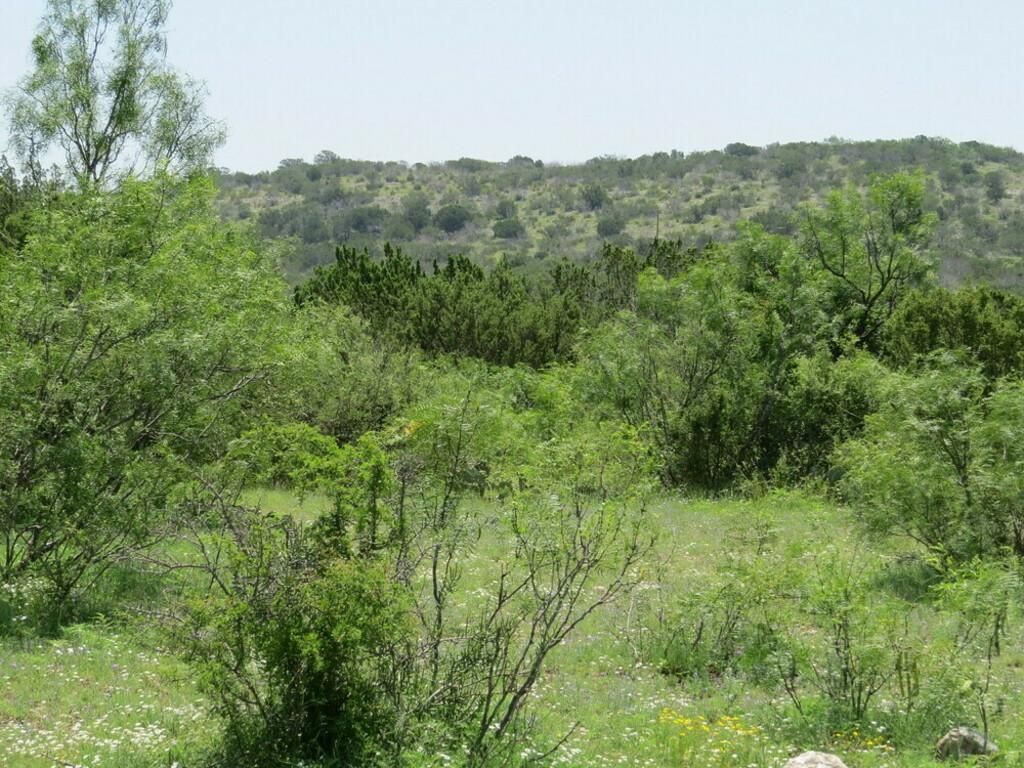 88.23 acres in Val Verde County, Texas