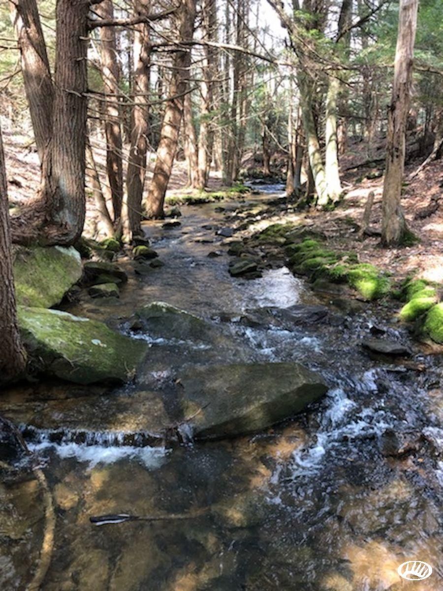 10 acres in Elk County, Pennsylvania
