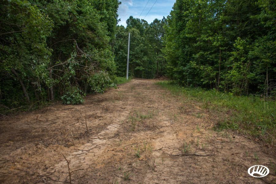 153 acres in Butler County, Kentucky