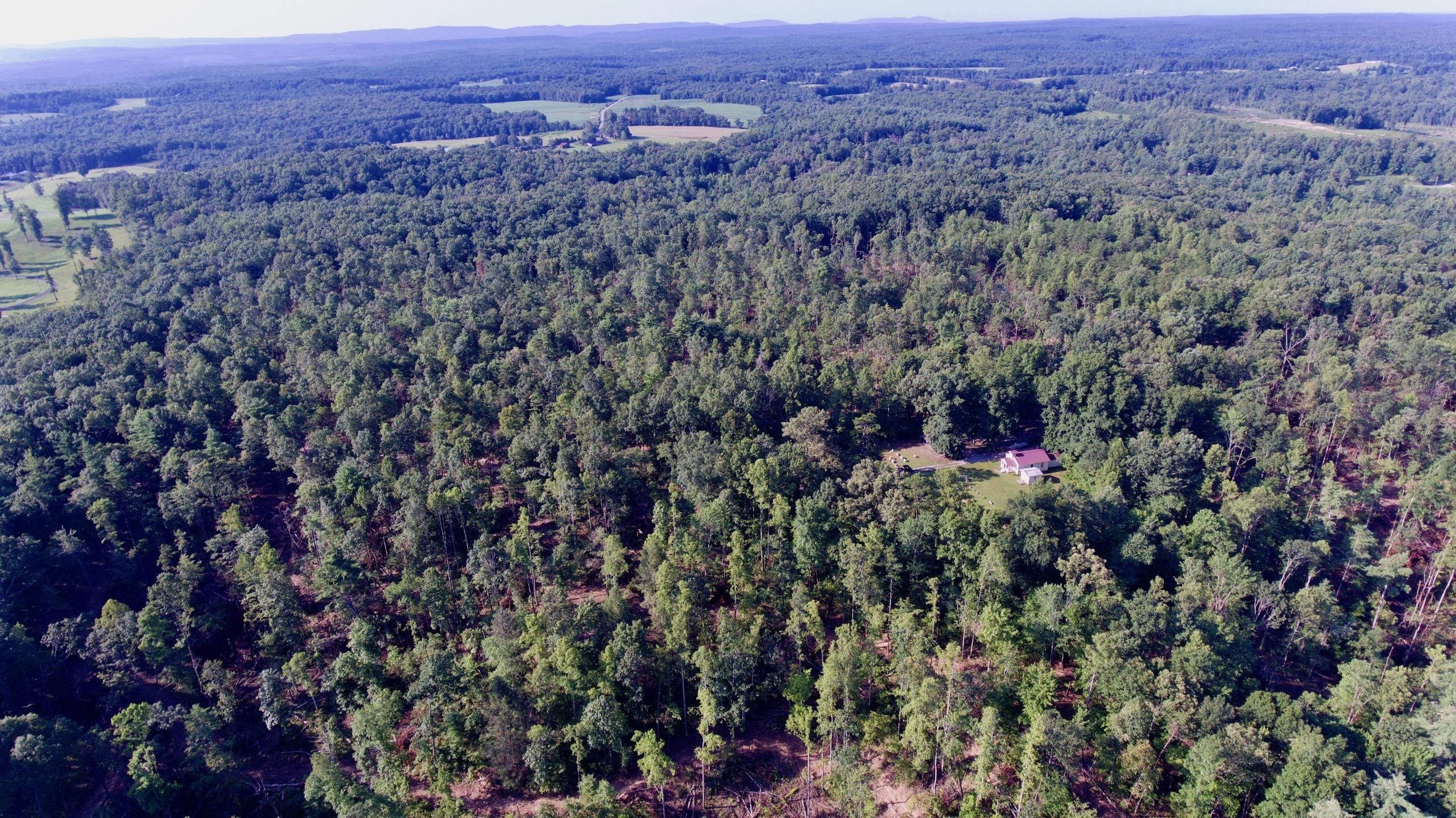 53.5 acres in County, Tennessee