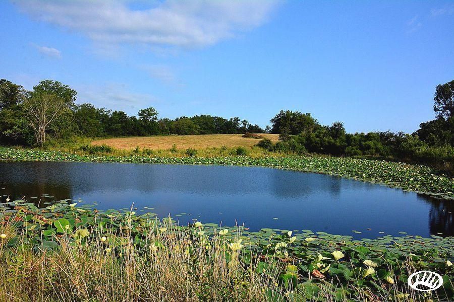 120 acres in Worth County, Missouri