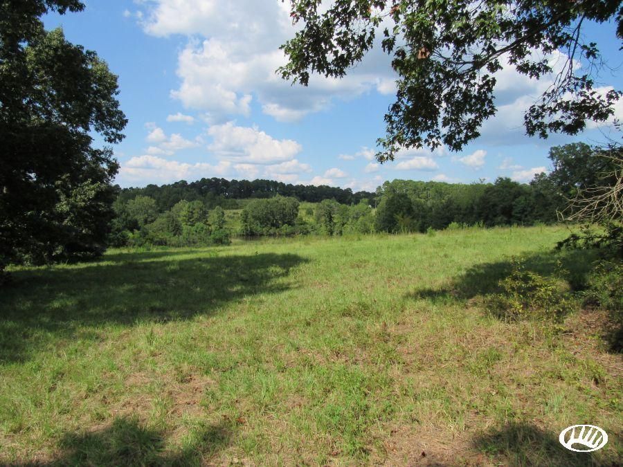 40 acres in Sabine Parish, Louisiana