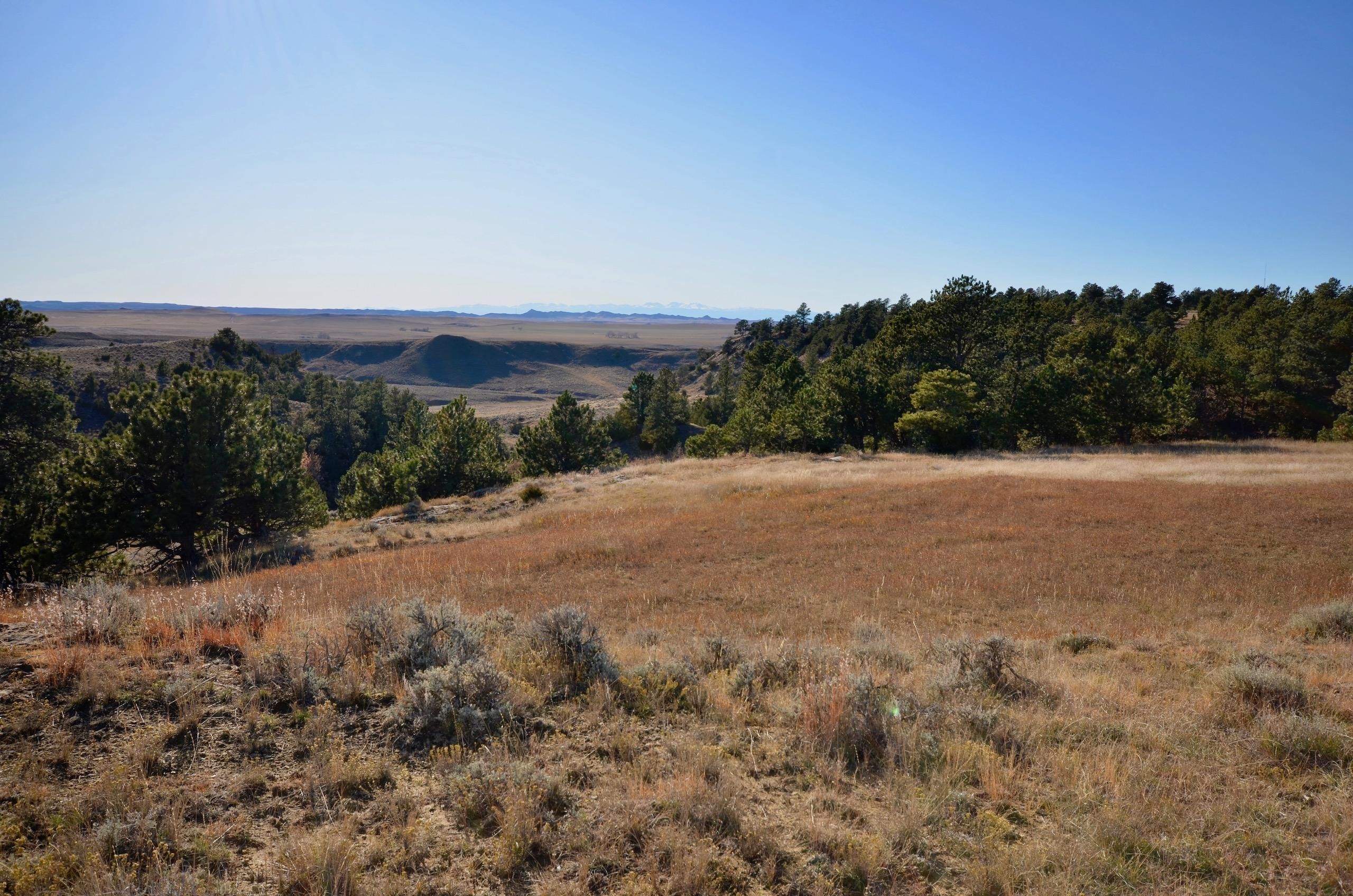 40 acres in Campbell County, Wyoming