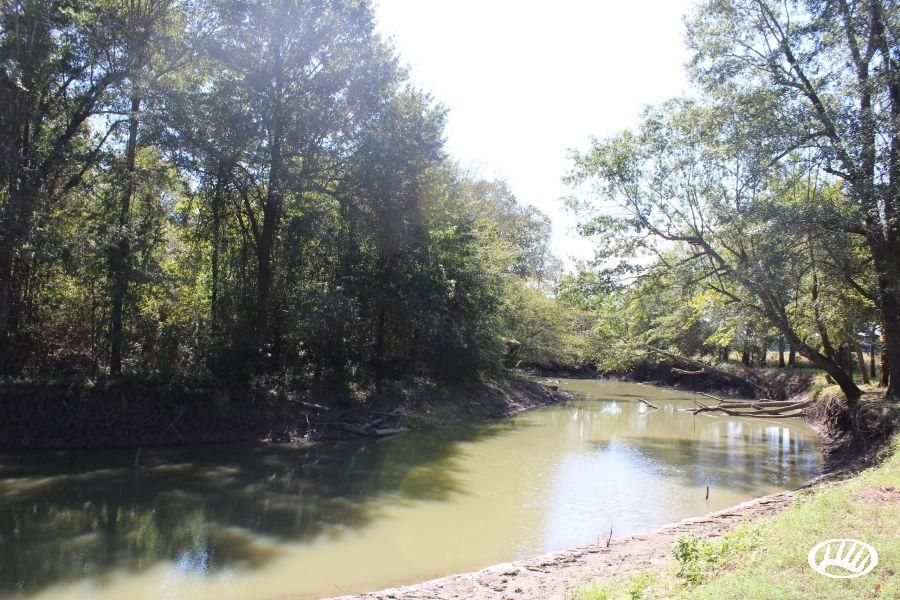 40 acres in Greene County, Arkansas