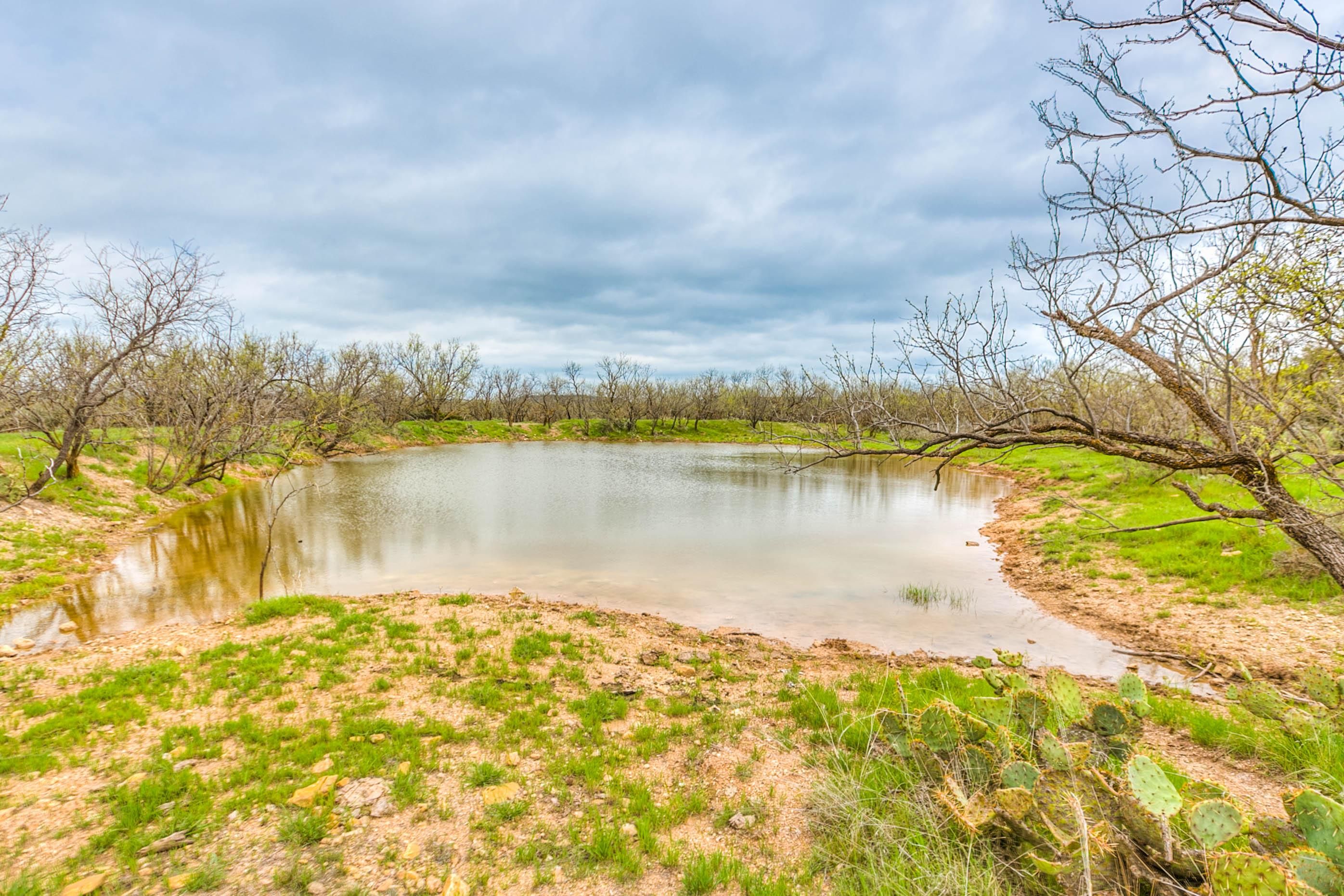 106 acres in Runnels County, Texas