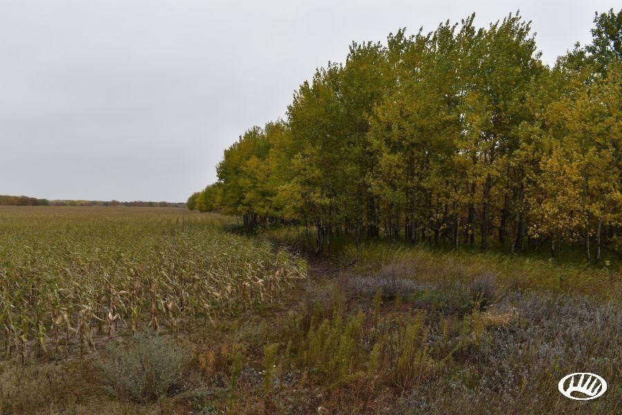 480 acres in Pembina County, North Dakota